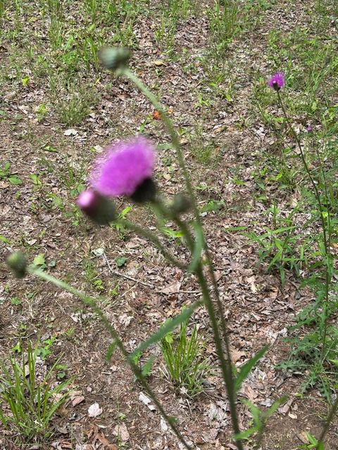 Tiny photo for 284 Jasper Creek Court Ct, Jasper, TN 37347 (MLS # 1513095)