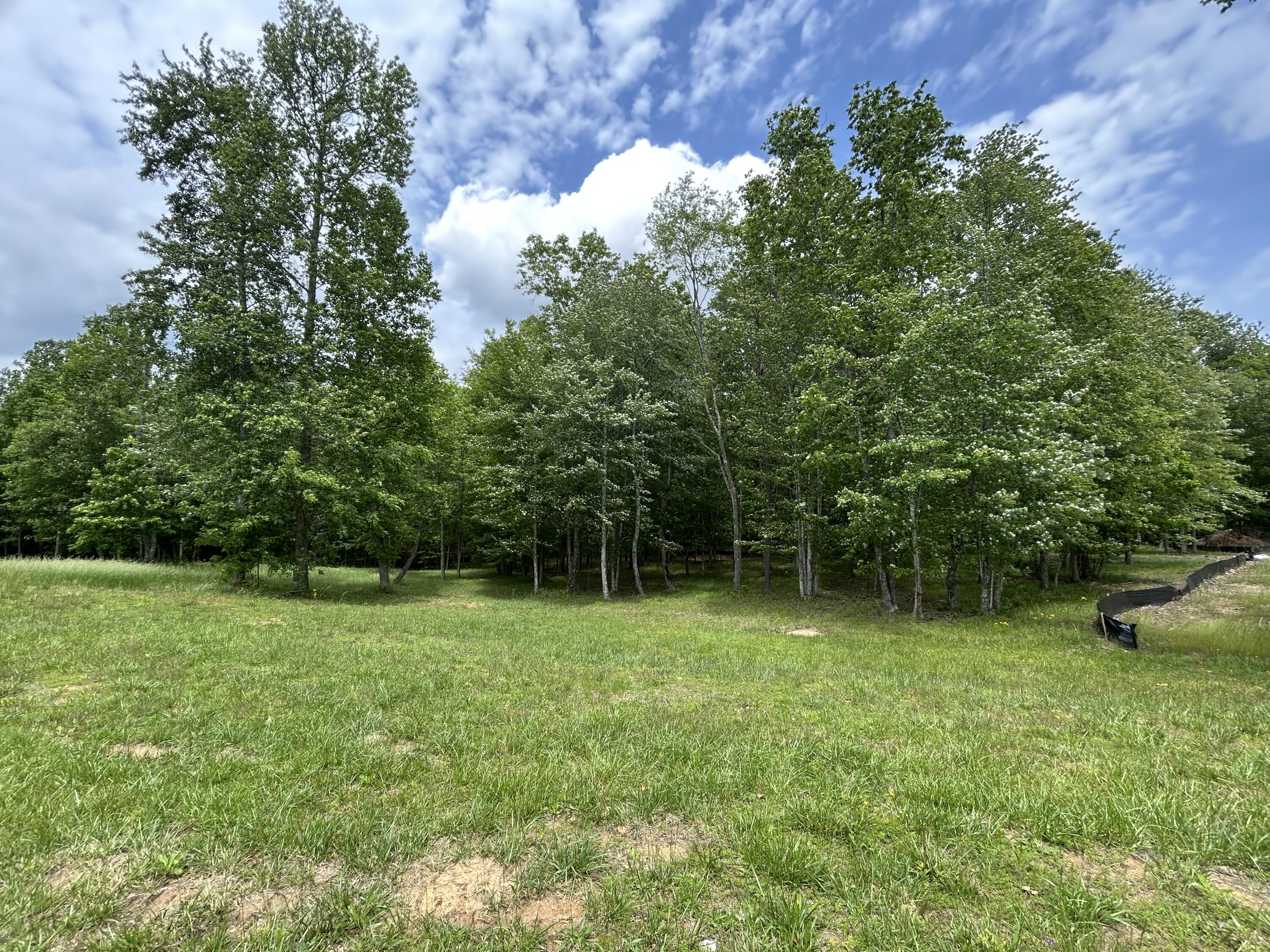 284 Jasper Creek Court Ct #-239, Jasper, Tennessee image 15