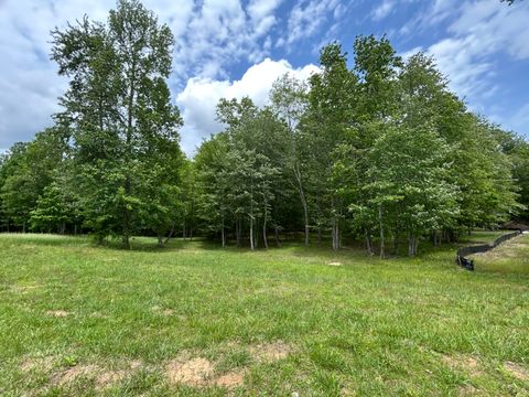 Tiny photo for 284 Jasper Creek Court Ct, Jasper, TN 37347 (MLS # 1513095)