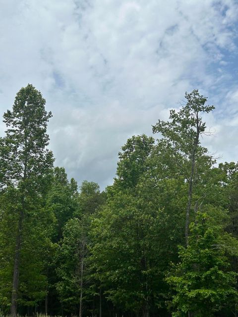 Tiny photo for 284 Jasper Creek Court Ct, Jasper, TN 37347 (MLS # 1513095)
