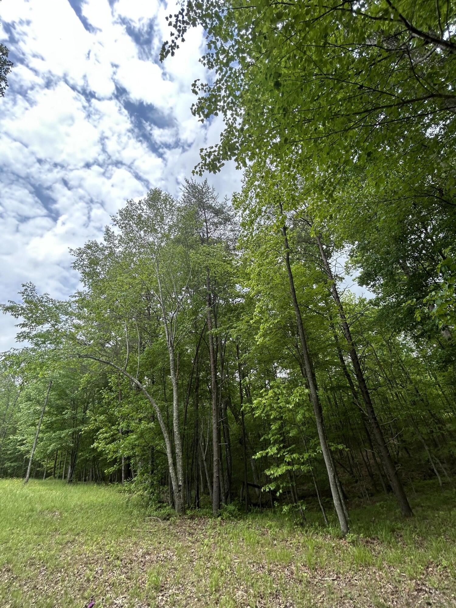 284 Jasper Creek Court Ct #-239, Jasper, Tennessee image 14