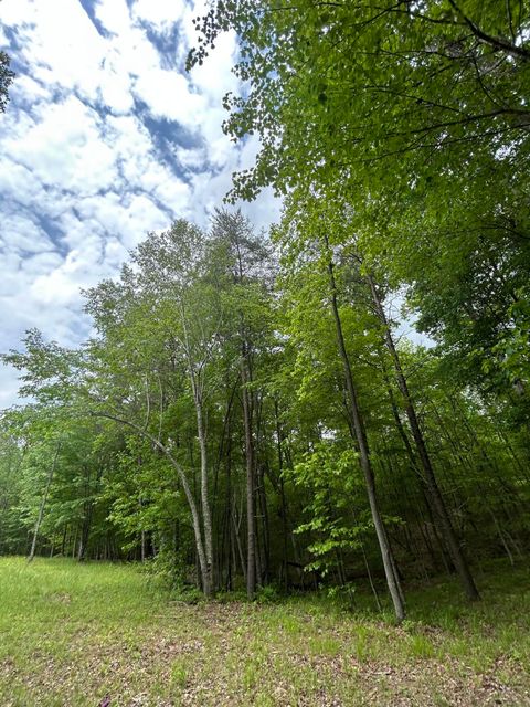 Tiny photo for 284 Jasper Creek Court Ct, Jasper, TN 37347 (MLS # 1513095)