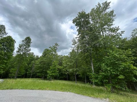 Tiny photo for 284 Jasper Creek Court Ct, Jasper, TN 37347 (MLS # 1513095)