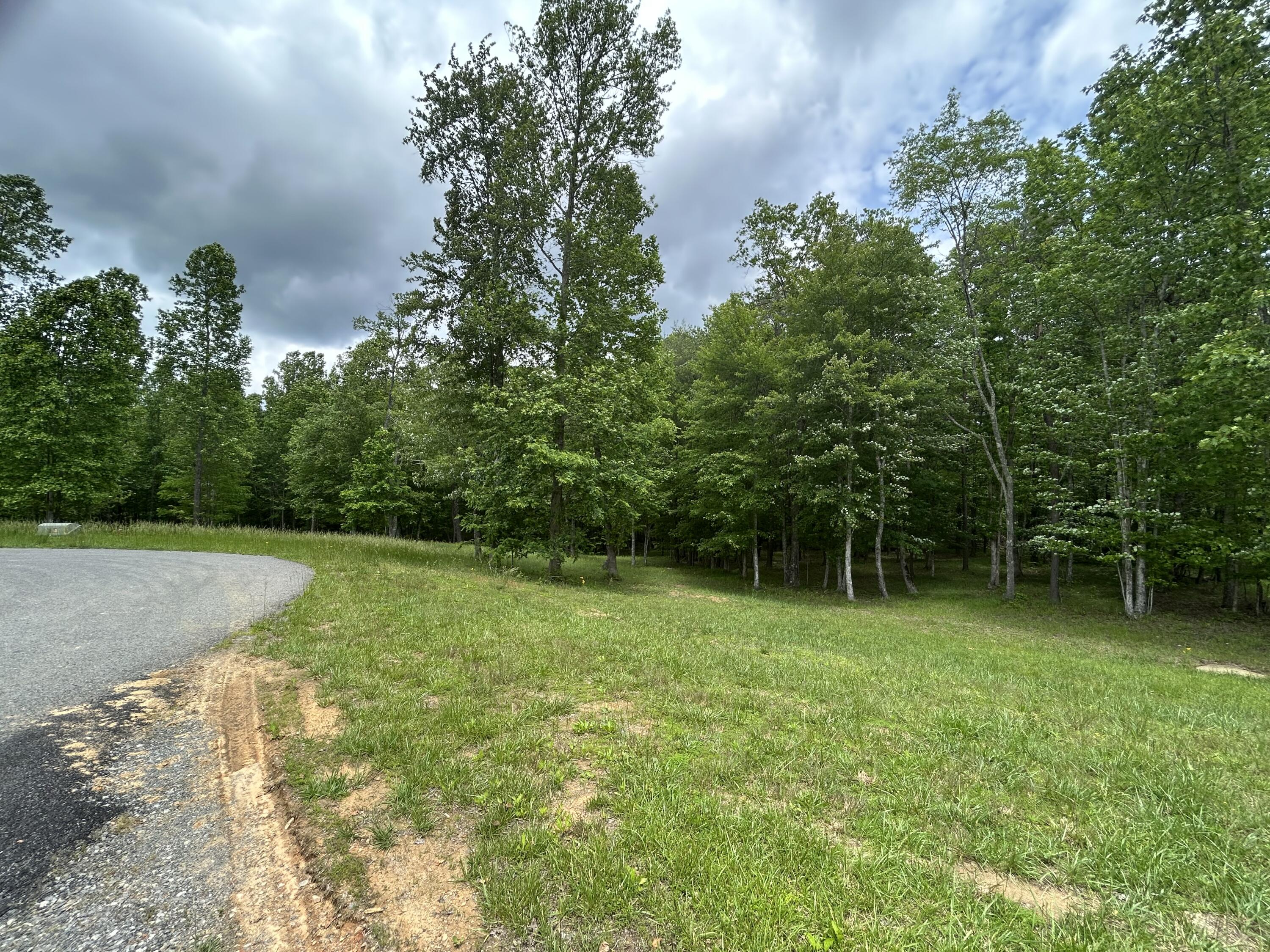 284 Jasper Creek Court Ct #-239, Jasper, Tennessee image 1