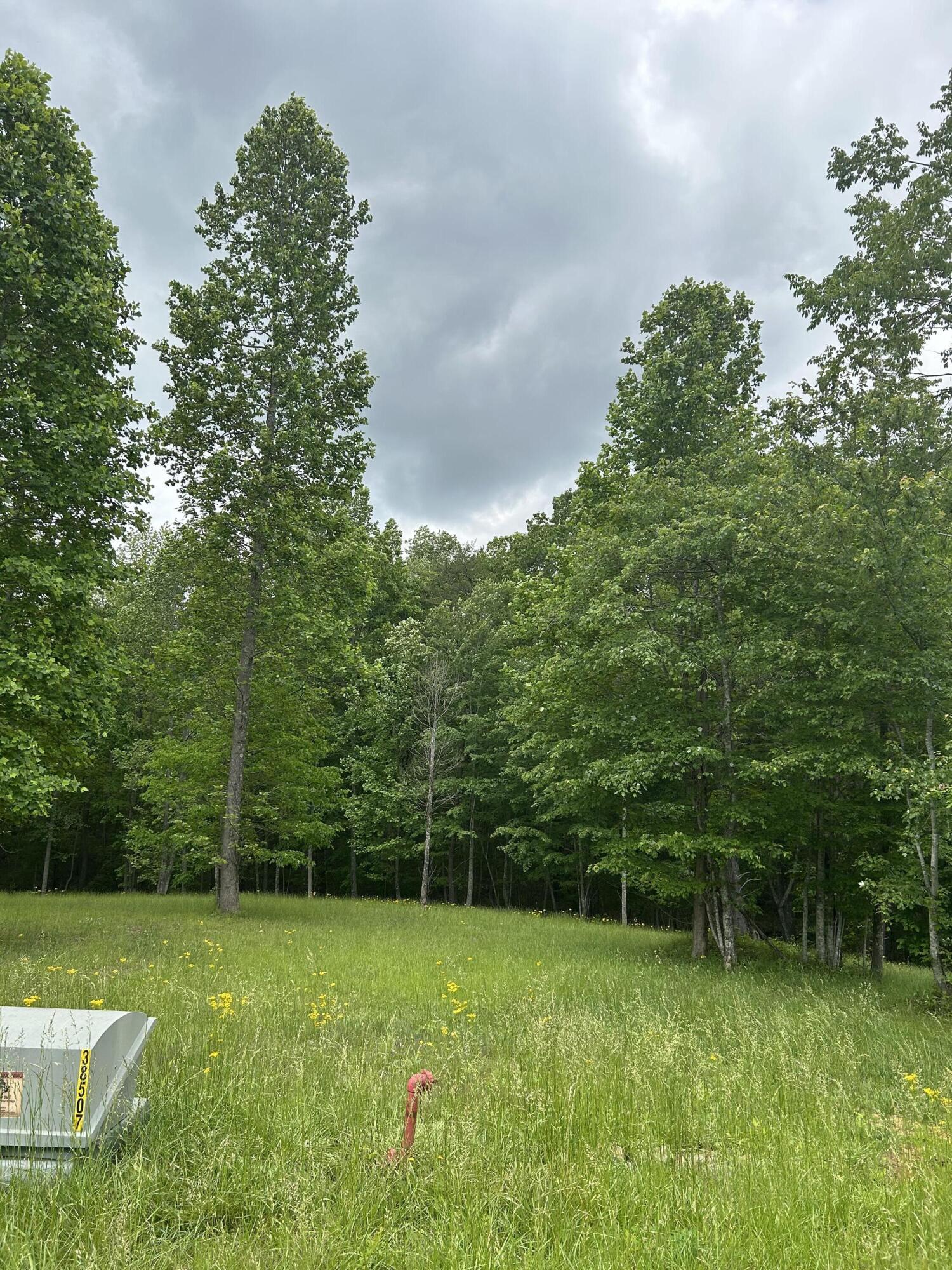 284 Jasper Creek Court Ct #-239, Jasper, Tennessee image 2