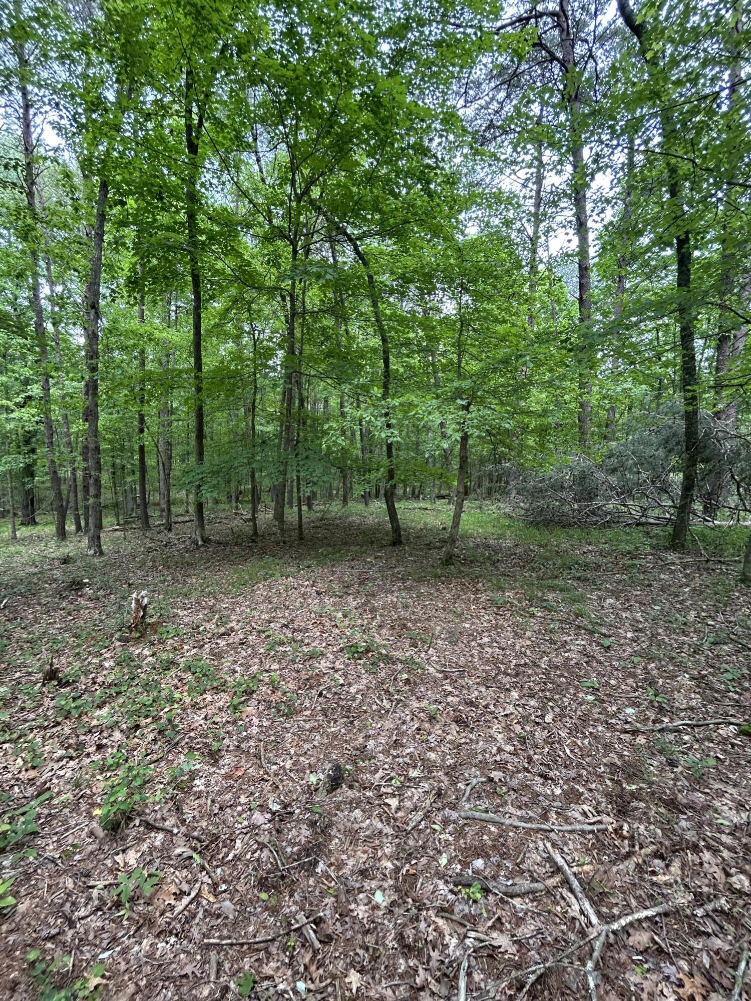 284 Jasper Creek Court Ct #-239, Jasper, Tennessee image 11