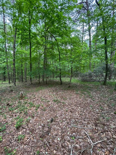 Tiny photo for 284 Jasper Creek Court Ct, Jasper, TN 37347 (MLS # 1513095)