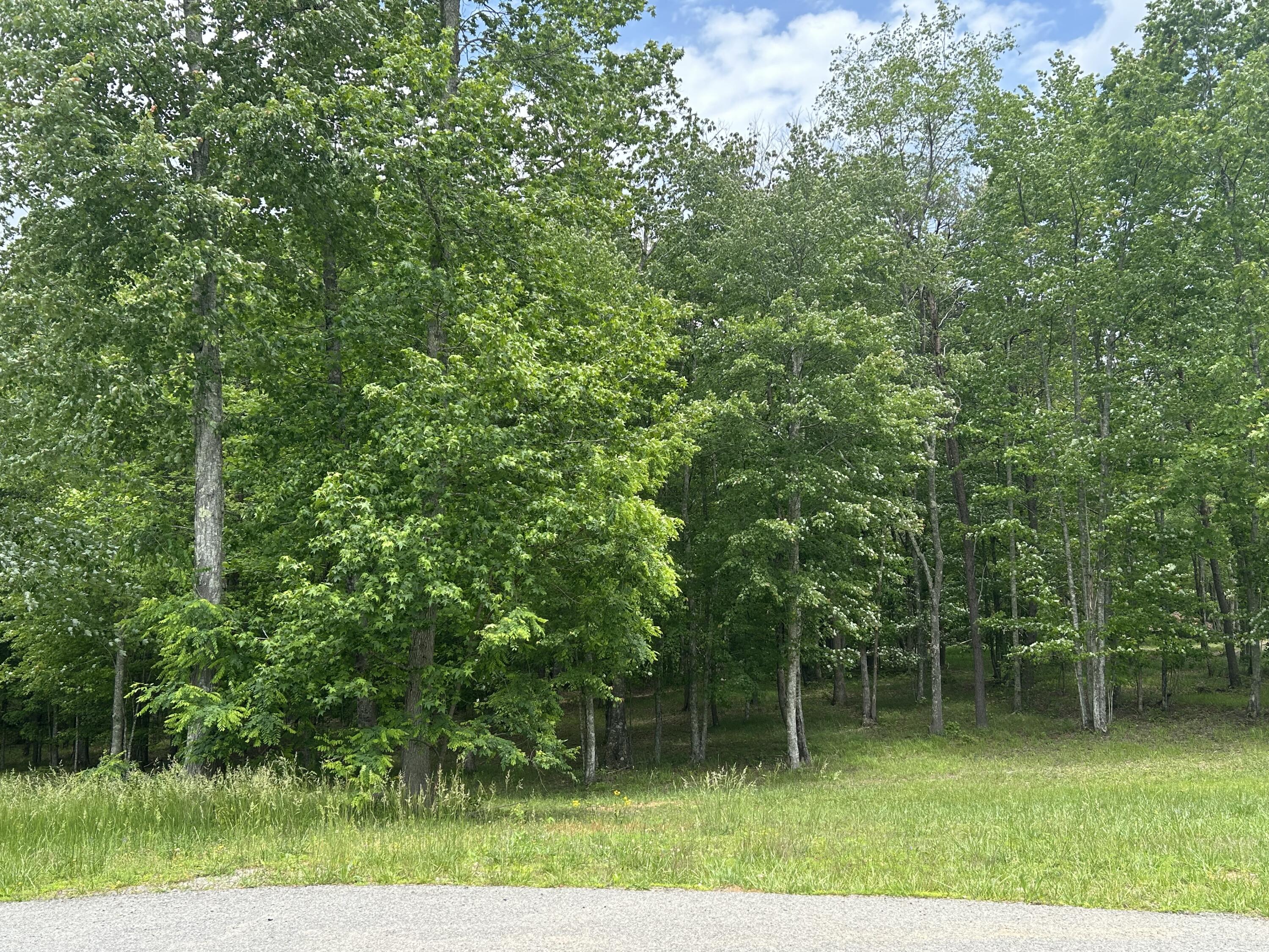 284 Jasper Creek Court Ct #-239, Jasper, Tennessee image 22