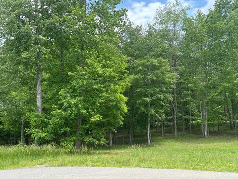 Tiny photo for 284 Jasper Creek Court Ct, Jasper, TN 37347 (MLS # 1513095)