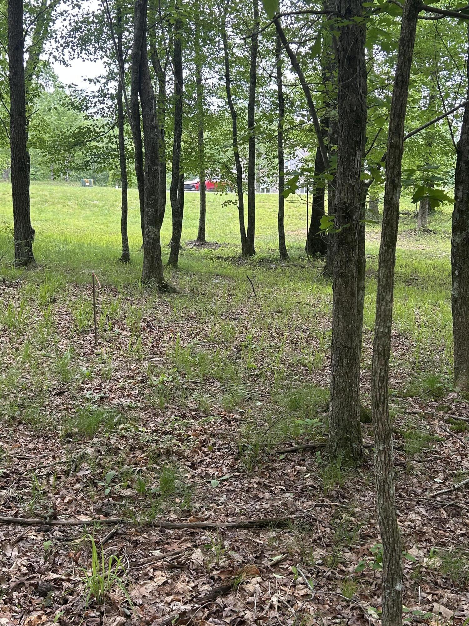 284 Jasper Creek Court Ct #-239, Jasper, Tennessee image 10