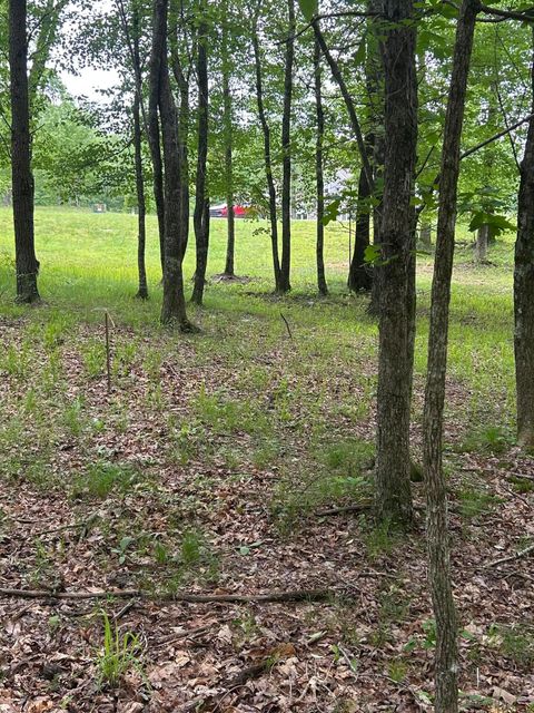 Tiny photo for 284 Jasper Creek Court Ct, Jasper, TN 37347 (MLS # 1513095)