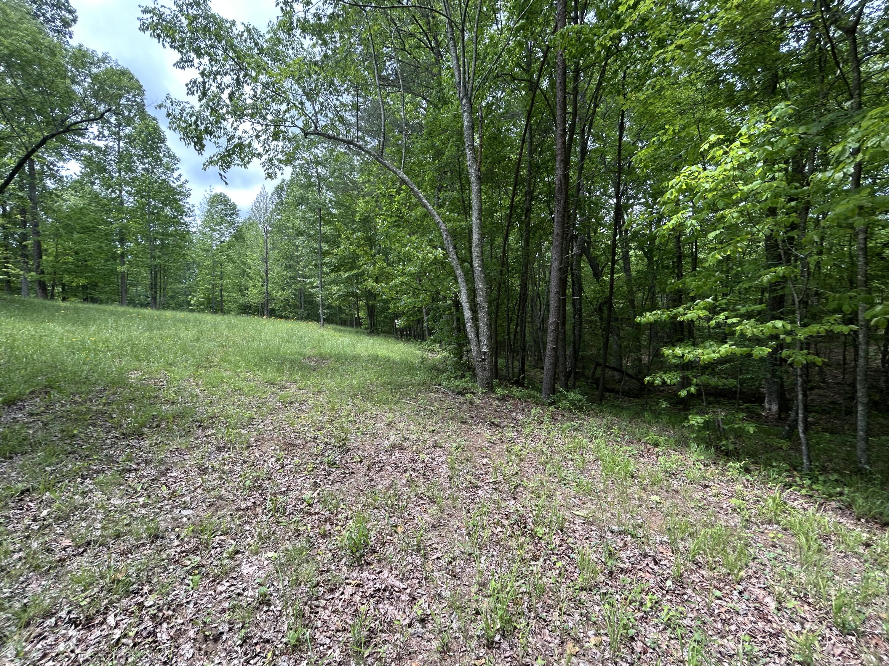 284 Jasper Creek Court Ct #-239, Jasper, Tennessee image 7