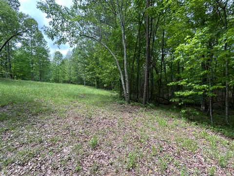 Tiny photo for 284 Jasper Creek Court Ct, Jasper, TN 37347 (MLS # 1513095)