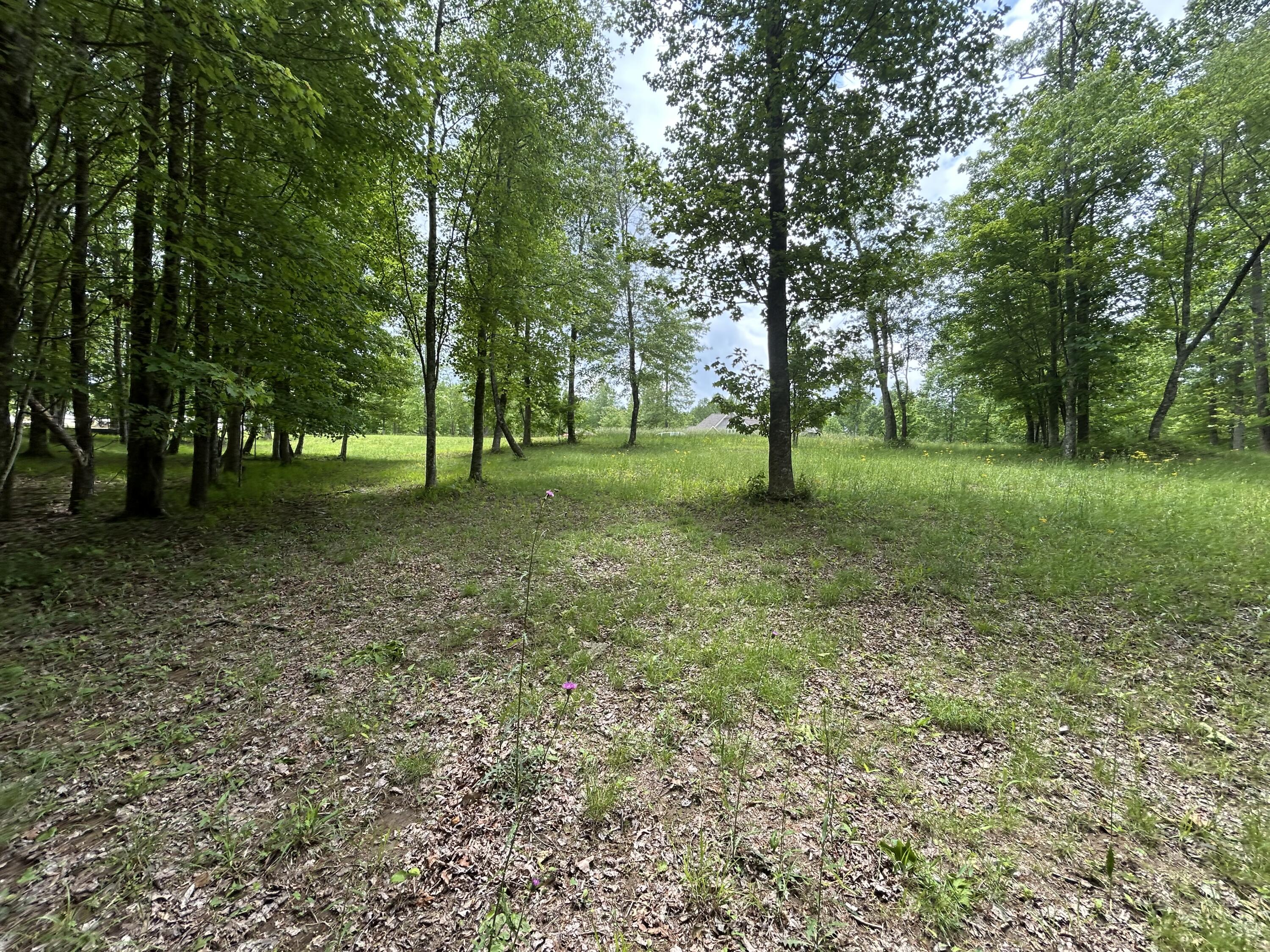 284 Jasper Creek Court Ct #-239, Jasper, Tennessee image 9