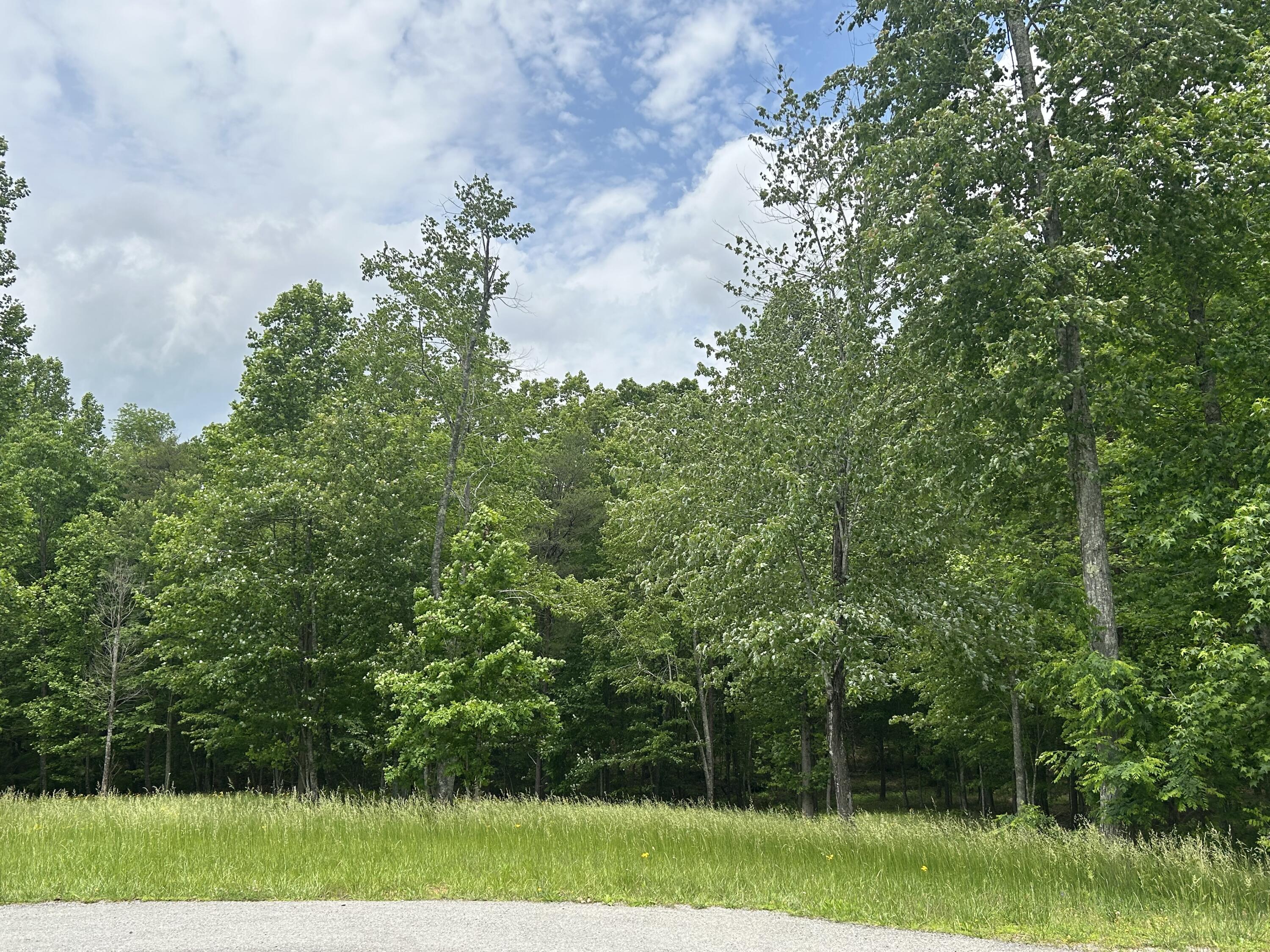 284 Jasper Creek Court Ct #-239, Jasper, Tennessee image 21