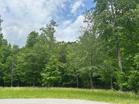 Tiny photo for 284 Jasper Creek Court Ct, Jasper, TN 37347 (MLS # 1513095)