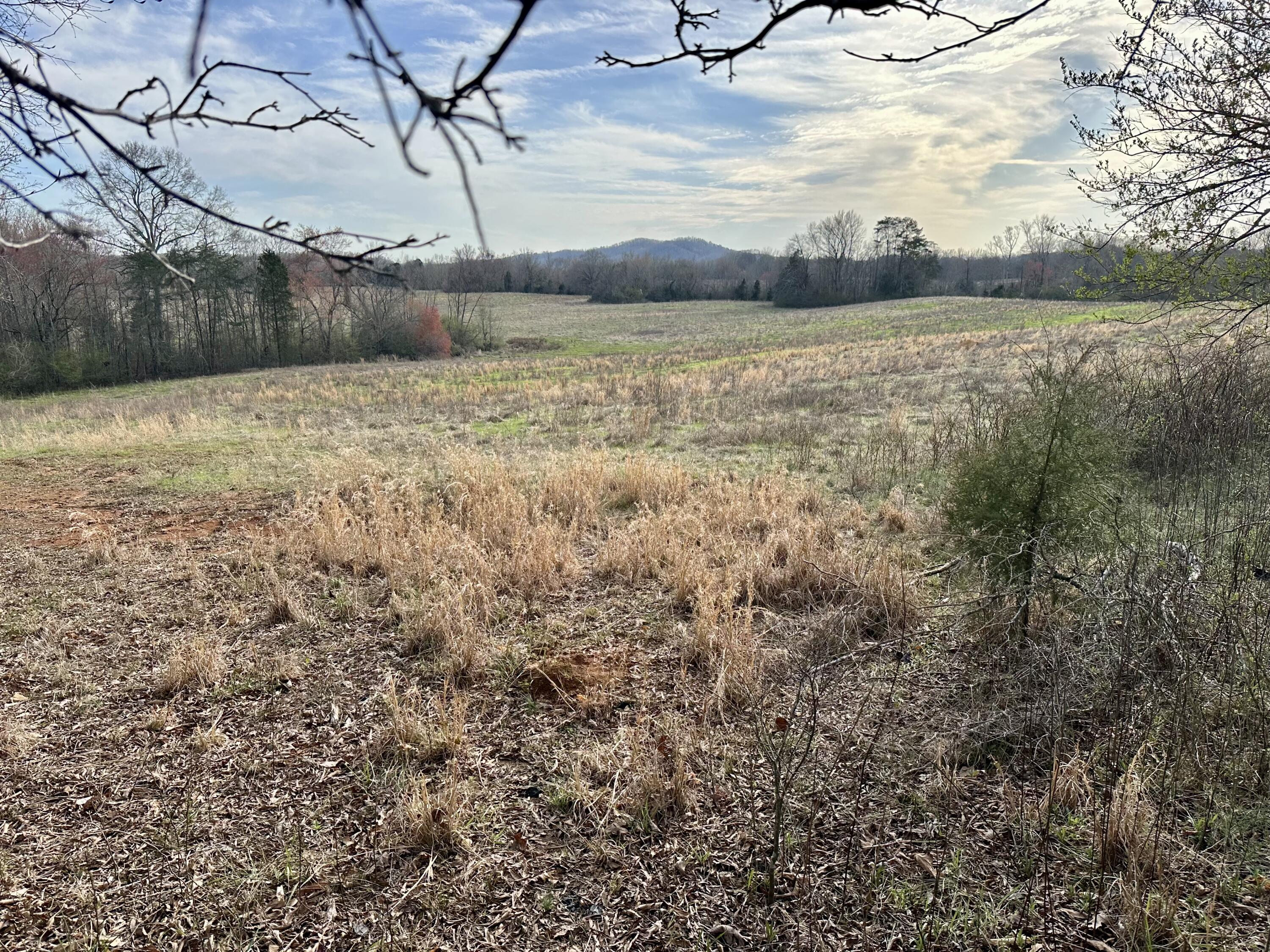 Maple Springs Rd Road, Dayton, Tennessee image 7