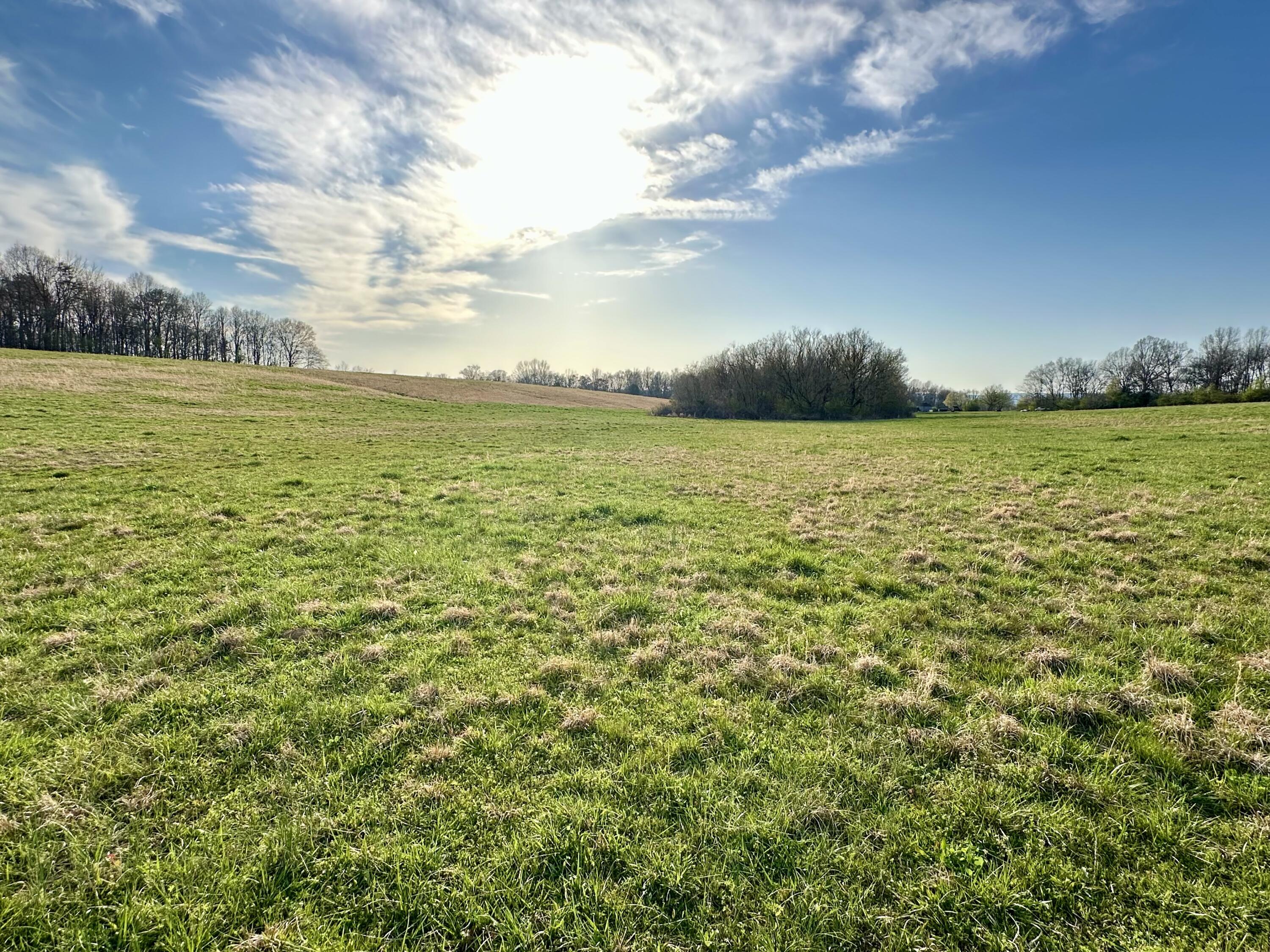 Maple Springs Rd Road, Dayton, Tennessee image 2