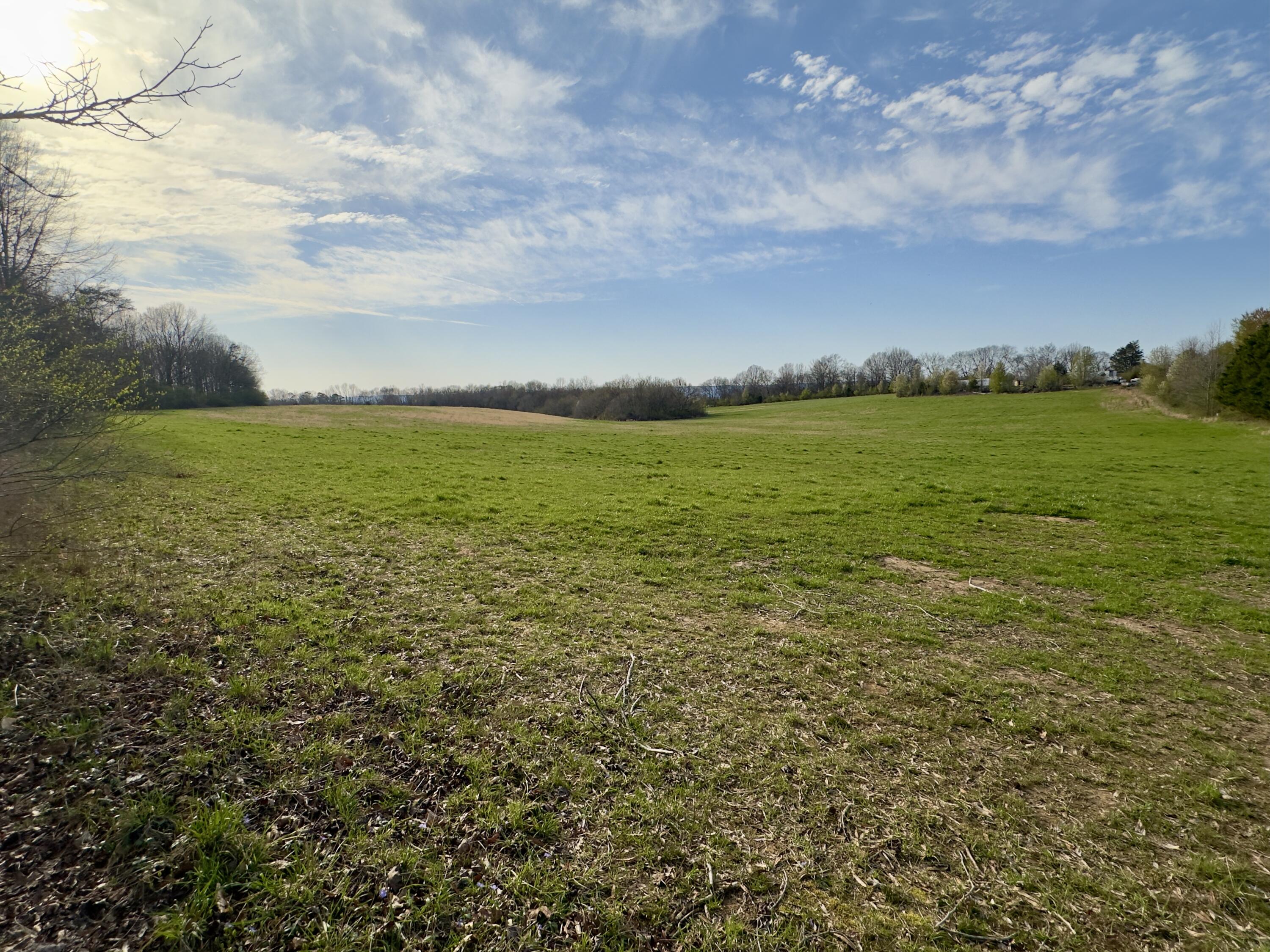 Maple Springs Rd Road, Dayton, Tennessee image 9