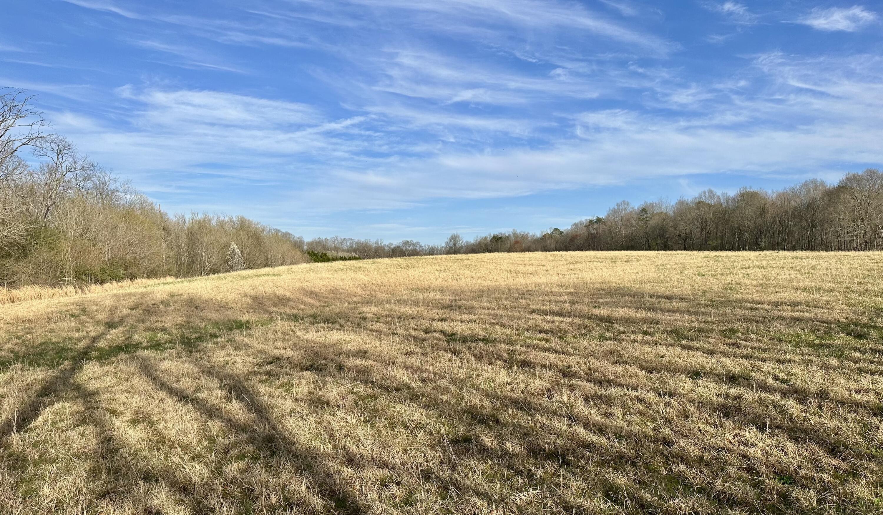 Maple Springs Rd Road, Dayton, Tennessee image 8
