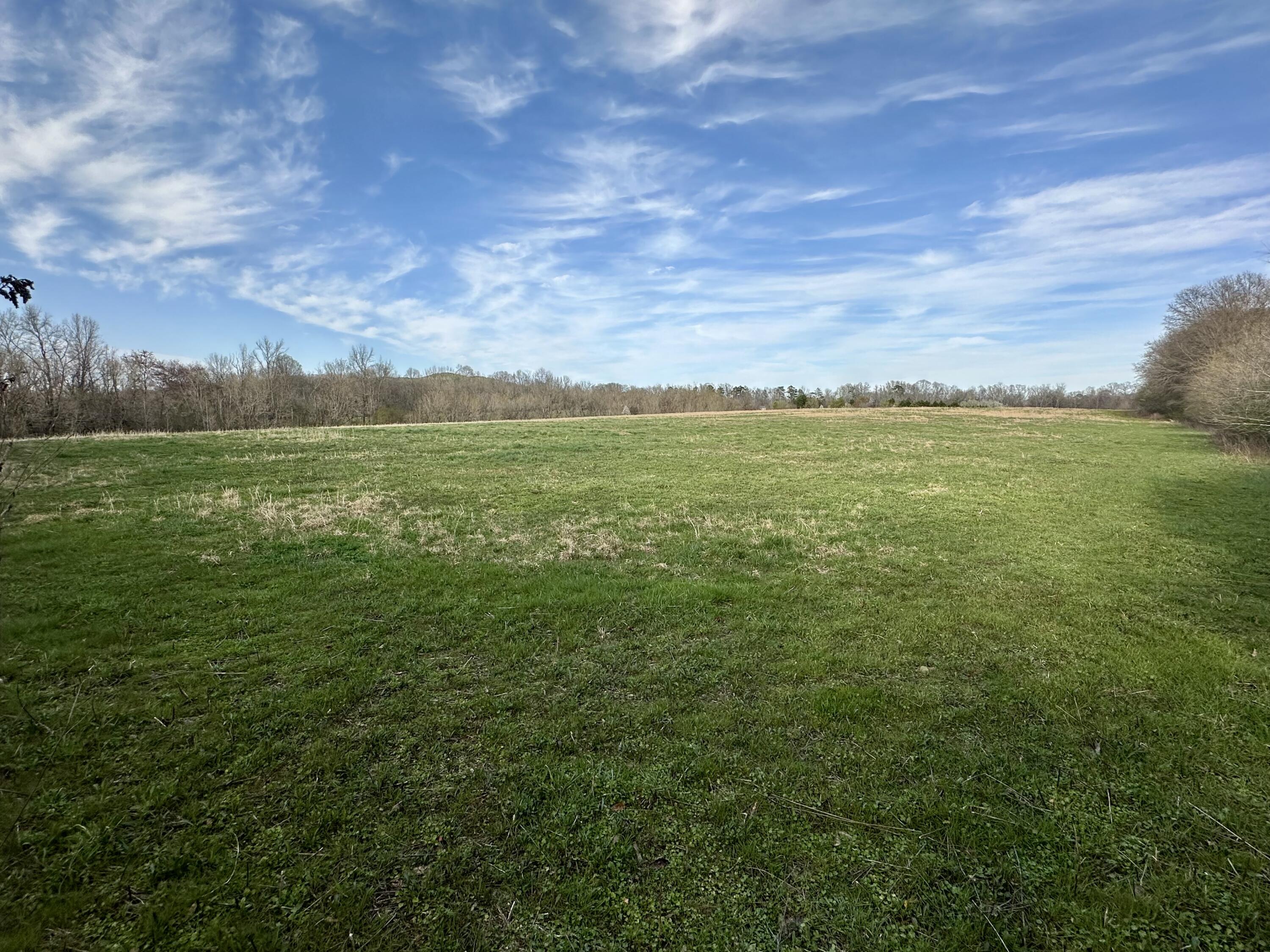 Maple Springs Rd Road, Dayton, Tennessee image 6