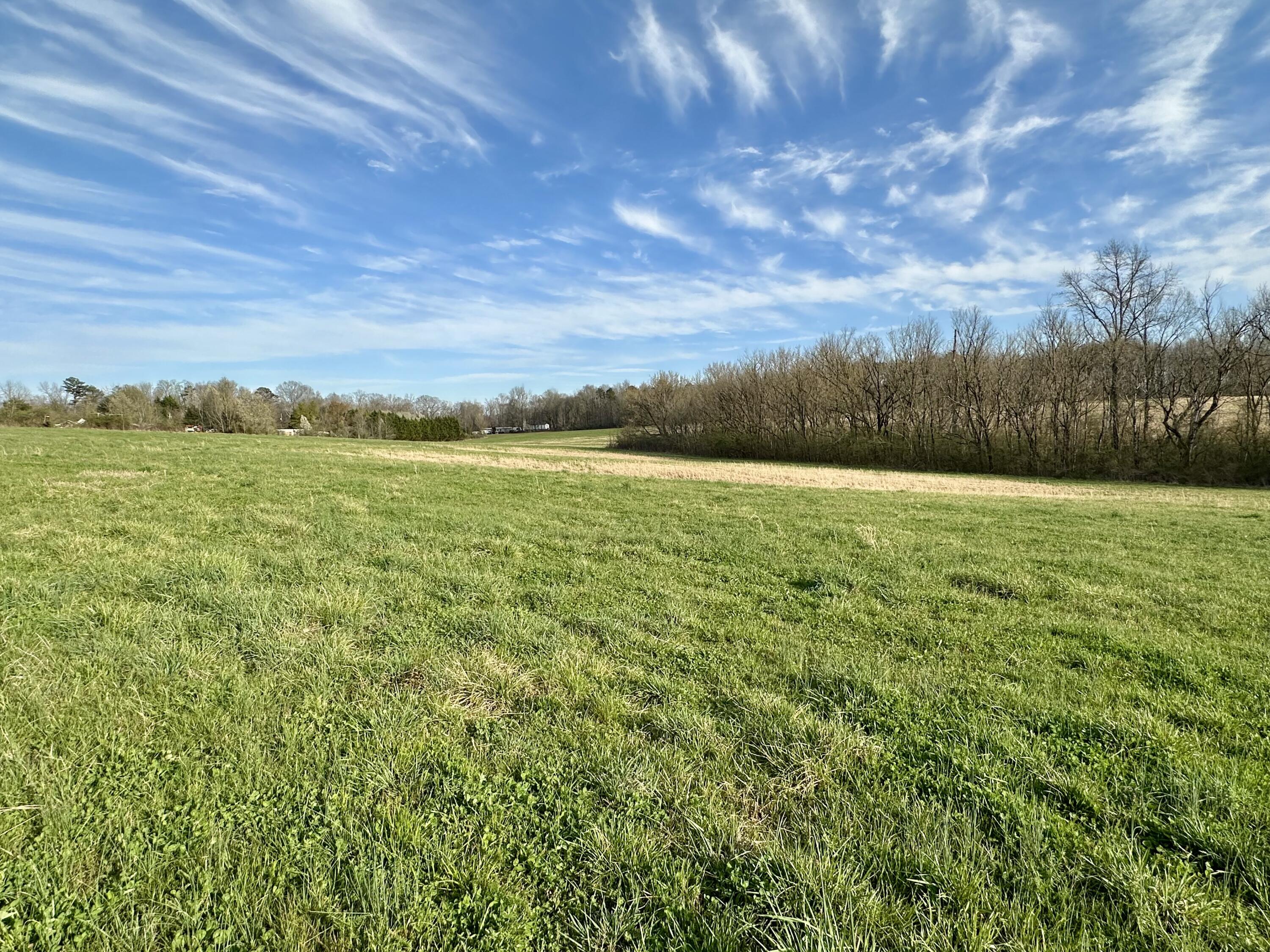Maple Springs Rd Road, Dayton, Tennessee image 1