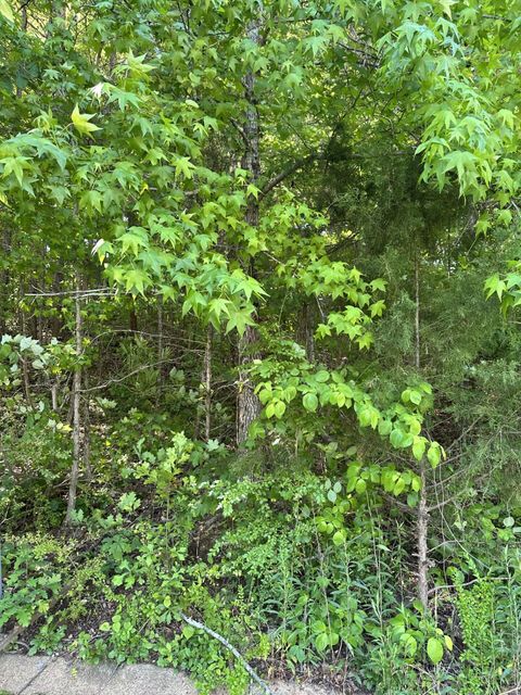 Photo of 6900 Spinmaker Cove, Ooltewah, TN 37363 (MLS # 1533706)