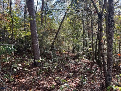 Photo of 955 Long Island Road, New Hope, TN 37380 (MLS # 1503011)