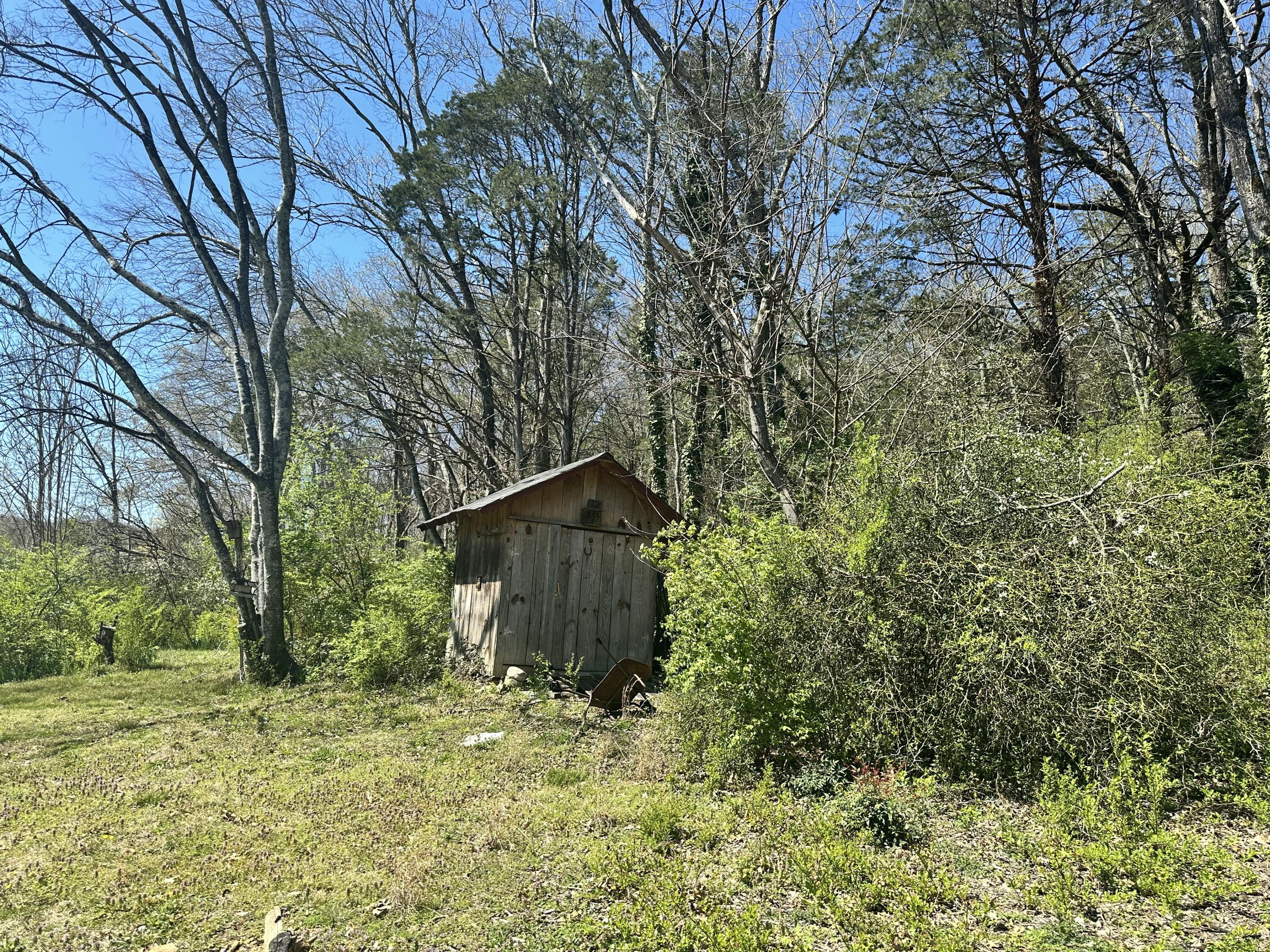 427 Lakeshore Drive, Jasper, Tennessee image 5