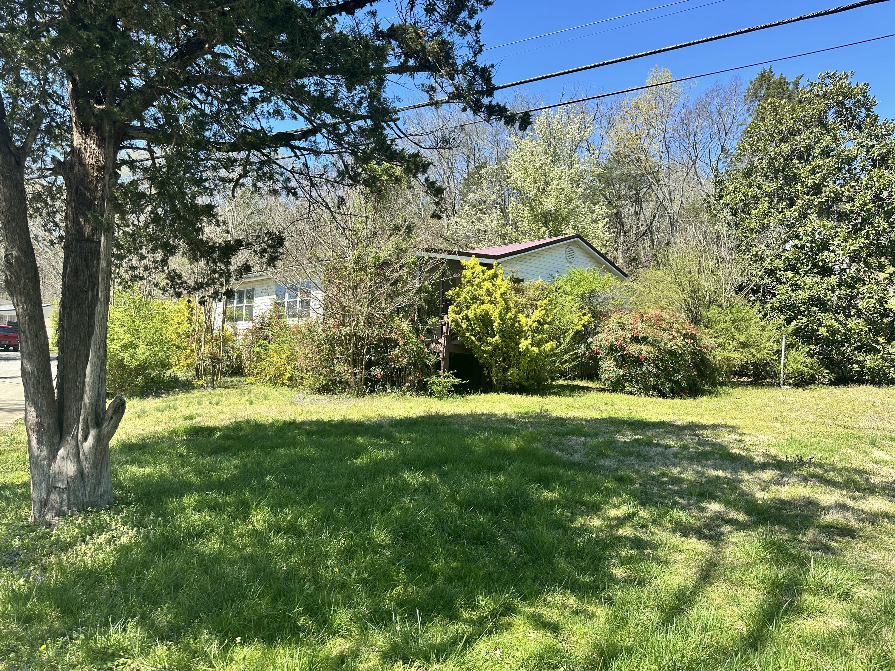 427 Lakeshore Drive, Jasper, Tennessee image 2