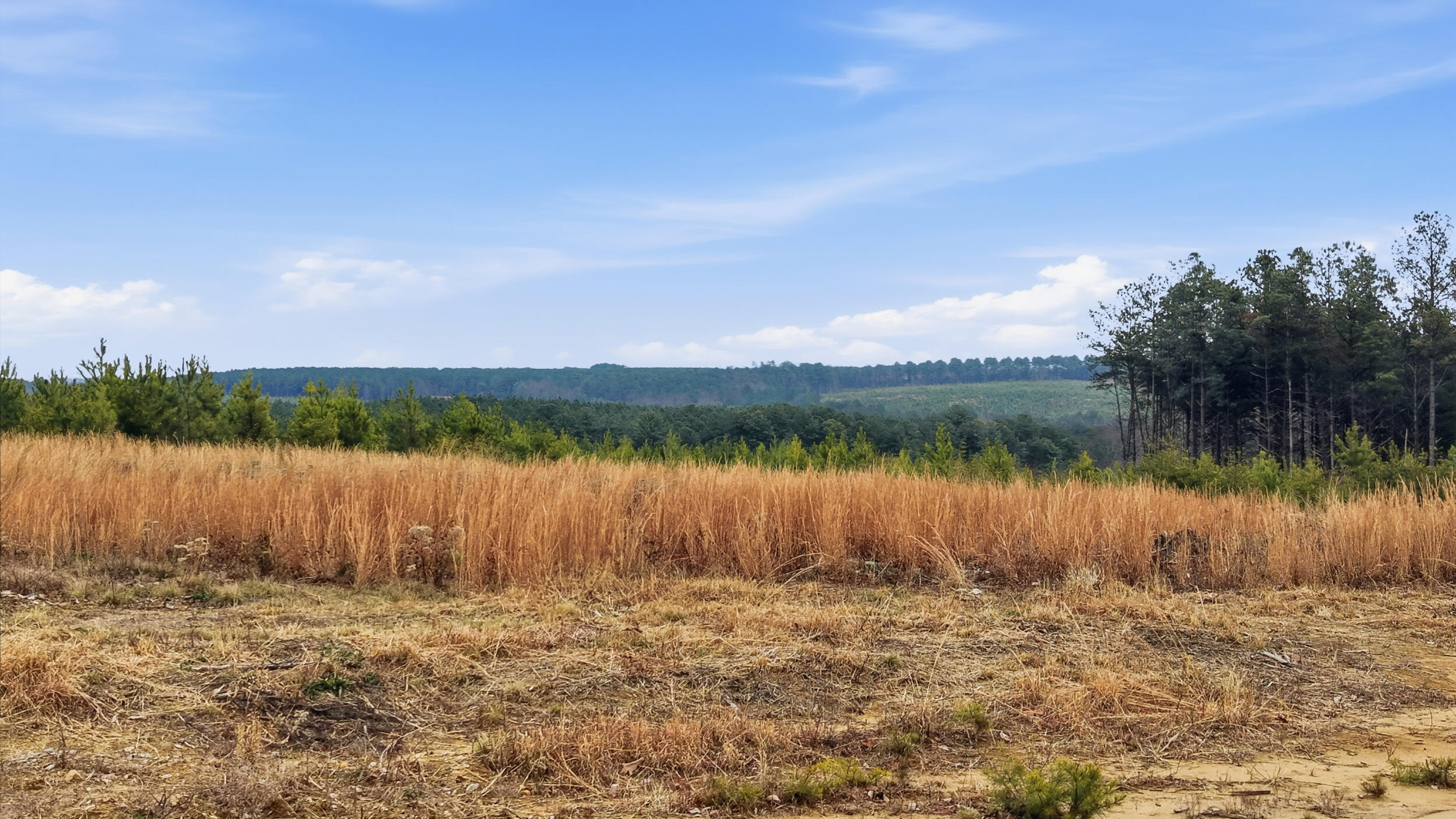 Lot 6 Longview Ridge