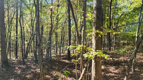 Vacant Land For Sale - Tipple Road<br/> Tracy City, TN 37387