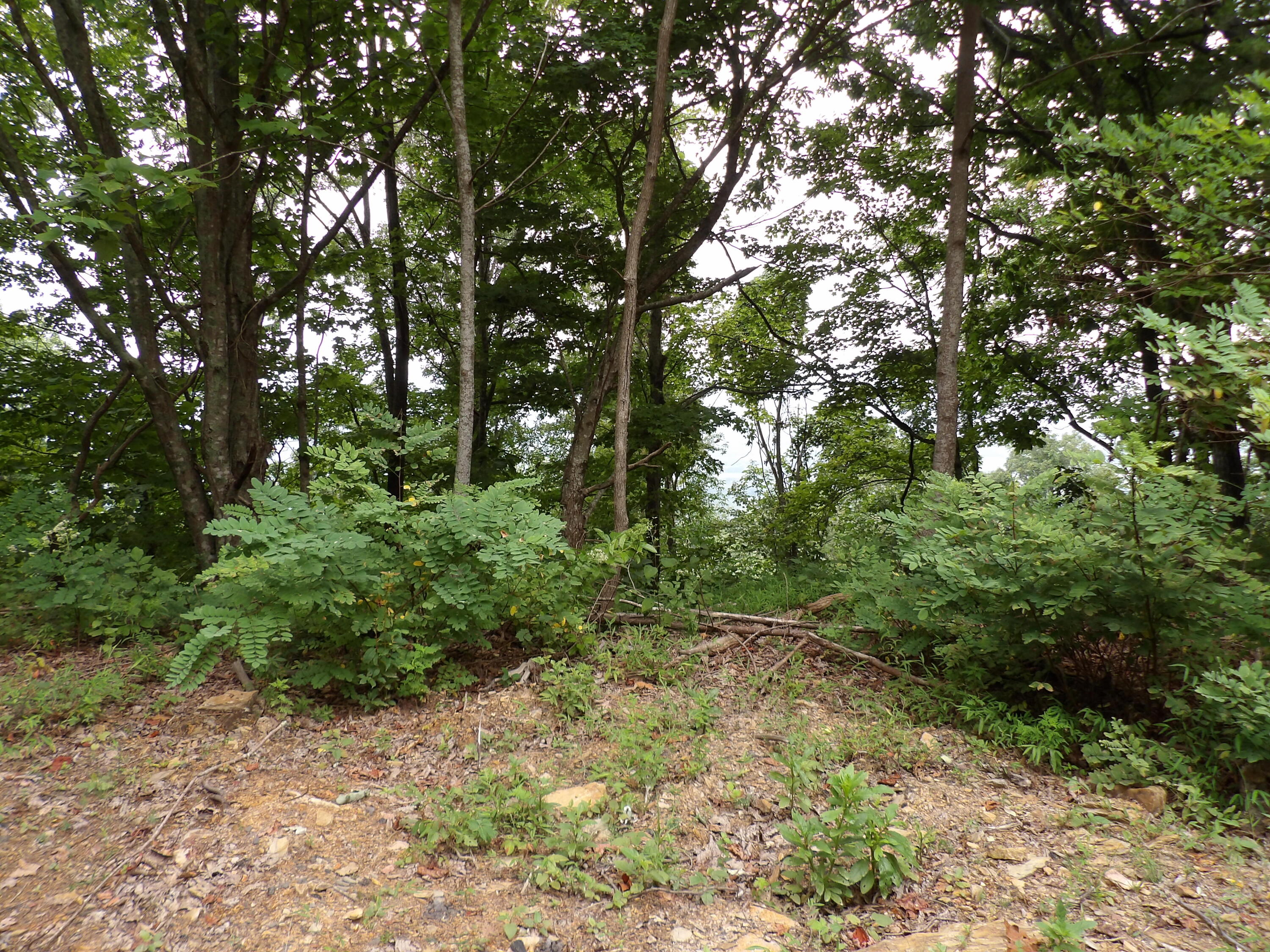 021 Porch Rock Road, Pikeville, Tennessee image 31