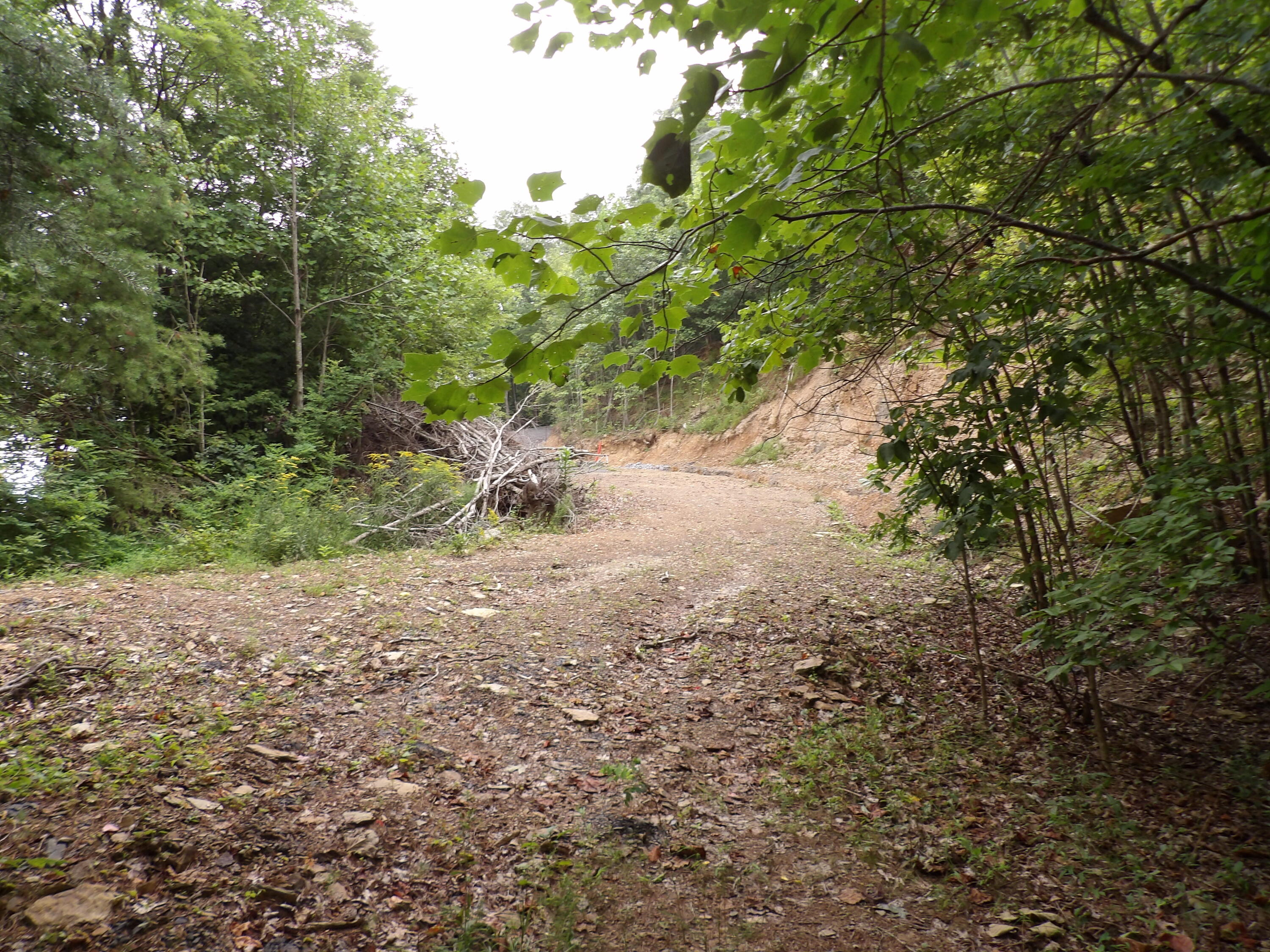 021 Porch Rock Road, Pikeville, Tennessee image 38