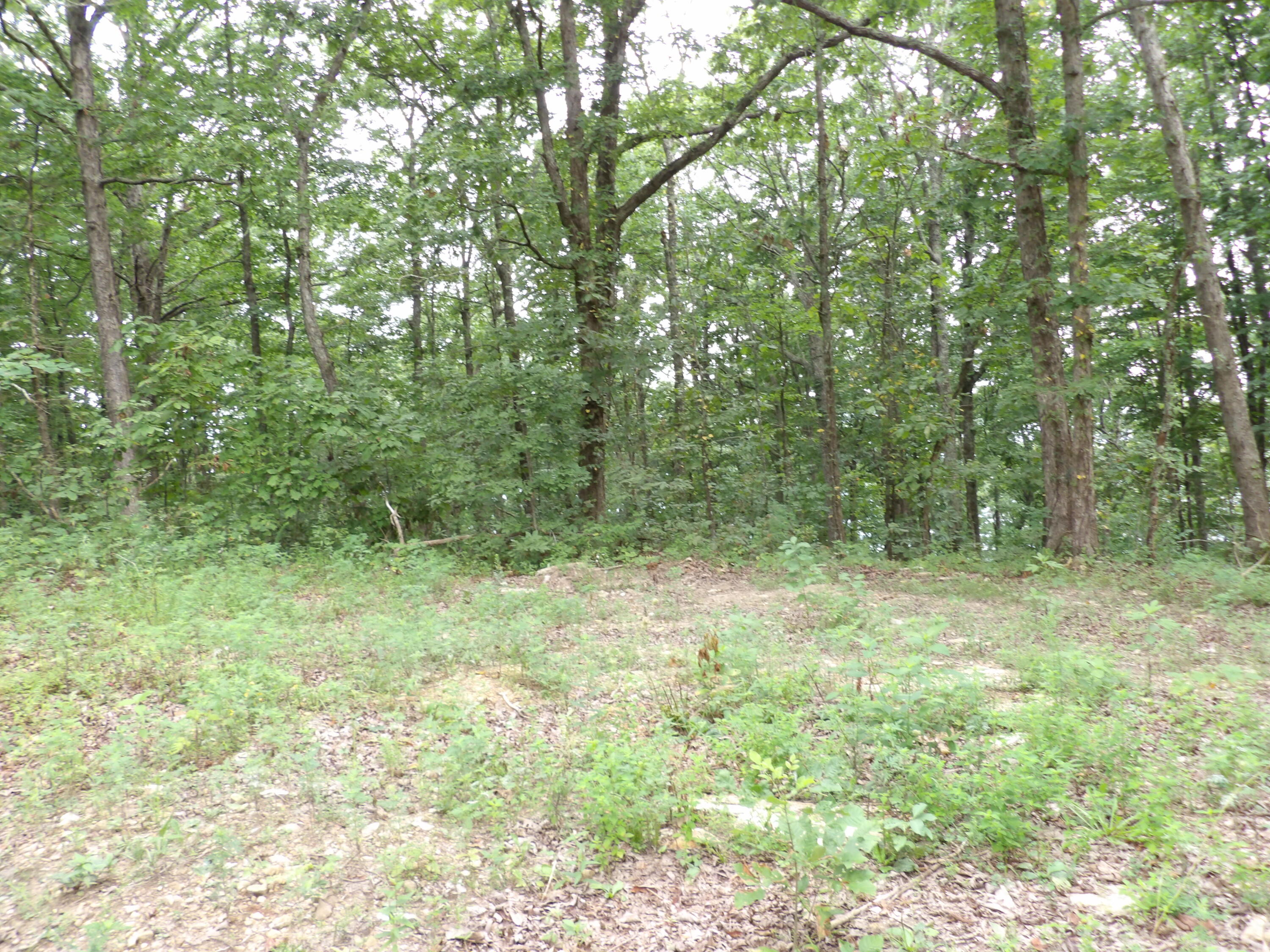 021 Porch Rock Road, Pikeville, Tennessee image 8