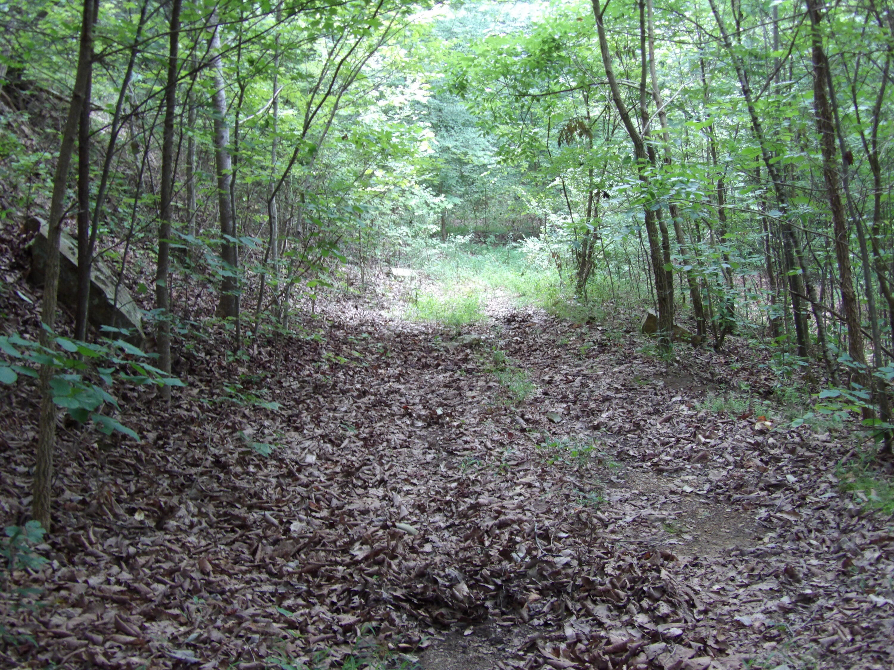 021 Porch Rock Road, Pikeville, Tennessee image 37