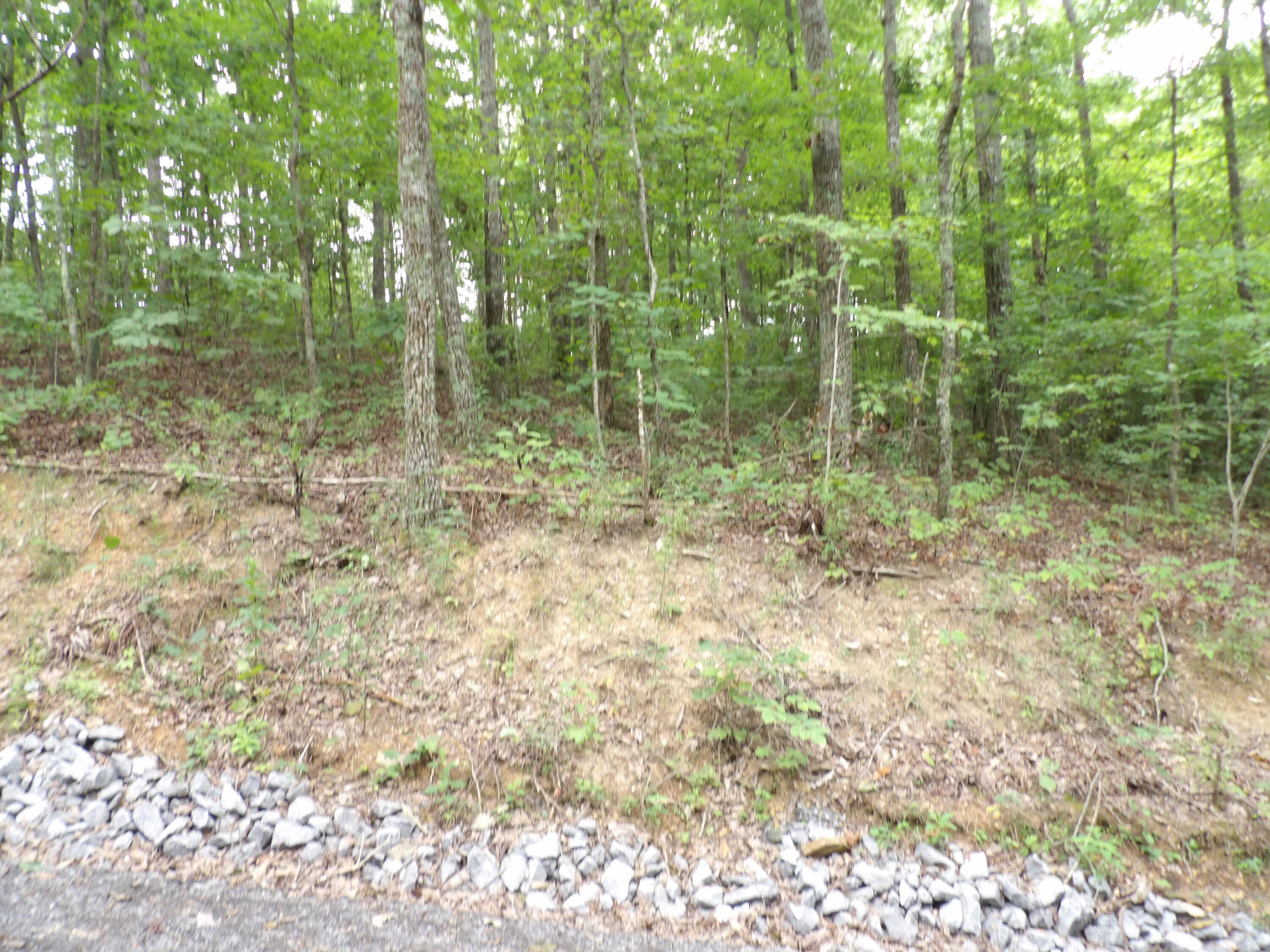 021 Porch Rock Road, Pikeville, Tennessee image 12