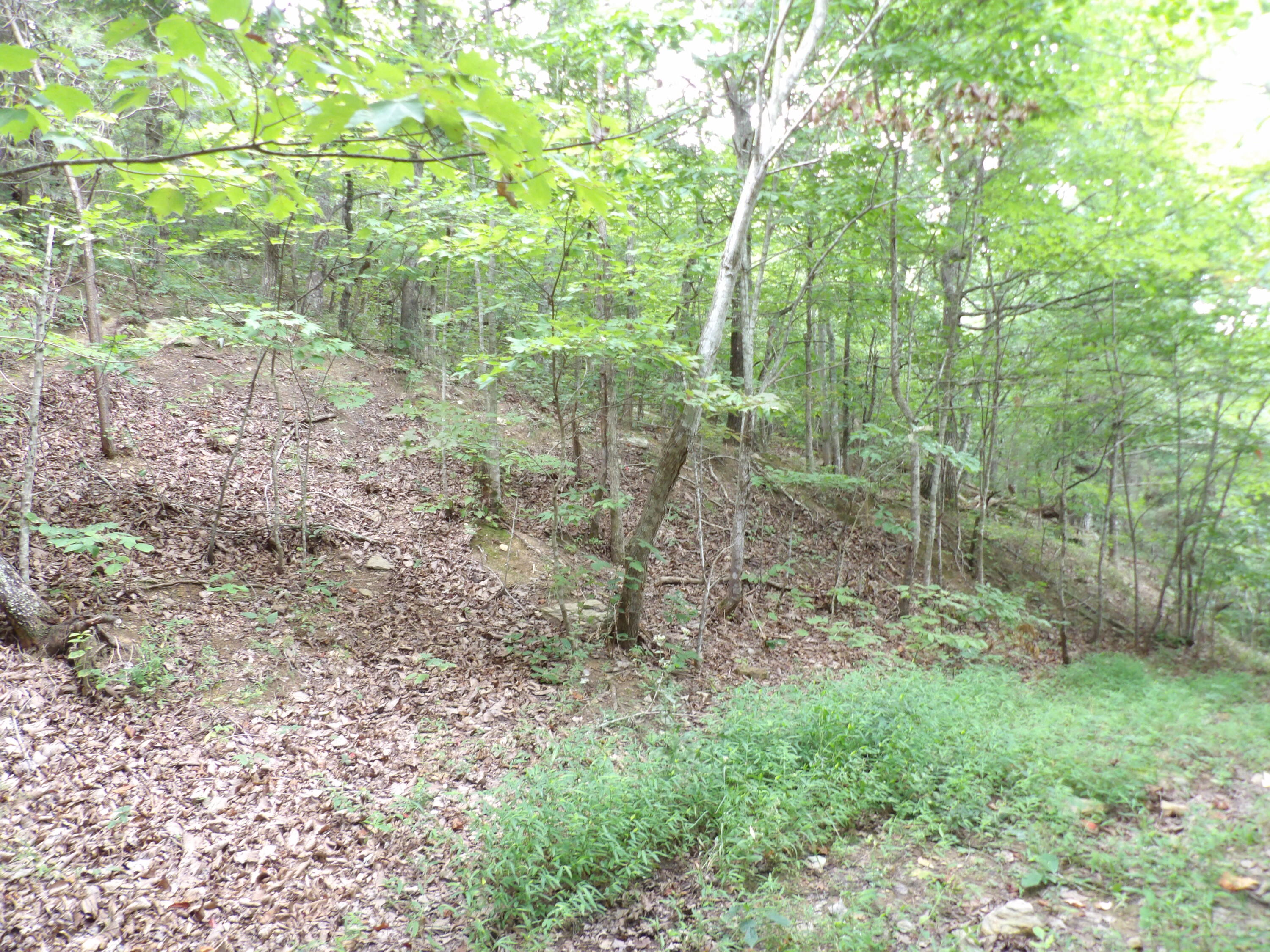 021 Porch Rock Road, Pikeville, Tennessee image 33