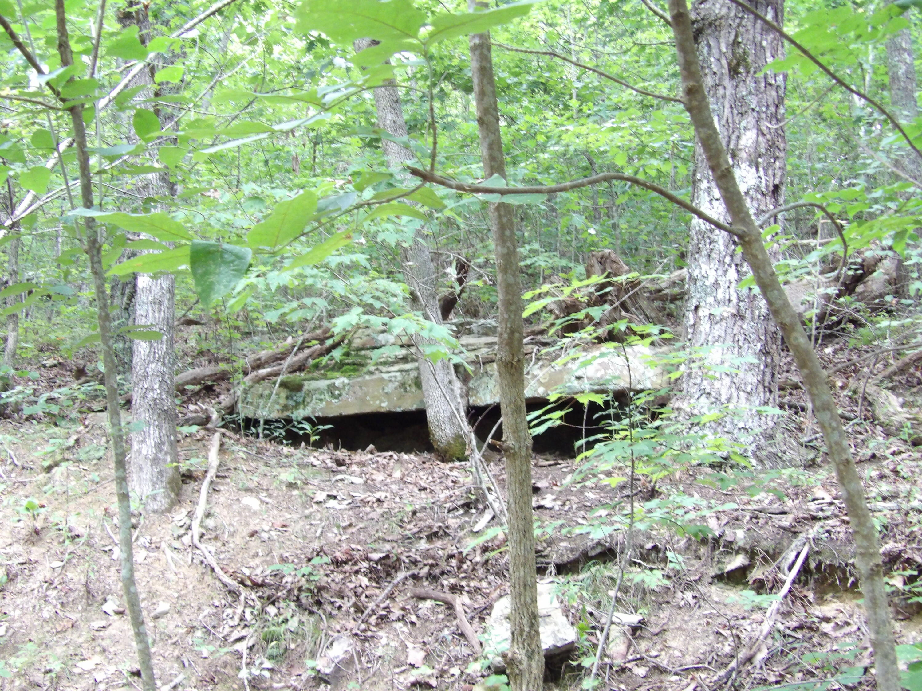 021 Porch Rock Road, Pikeville, Tennessee image 36