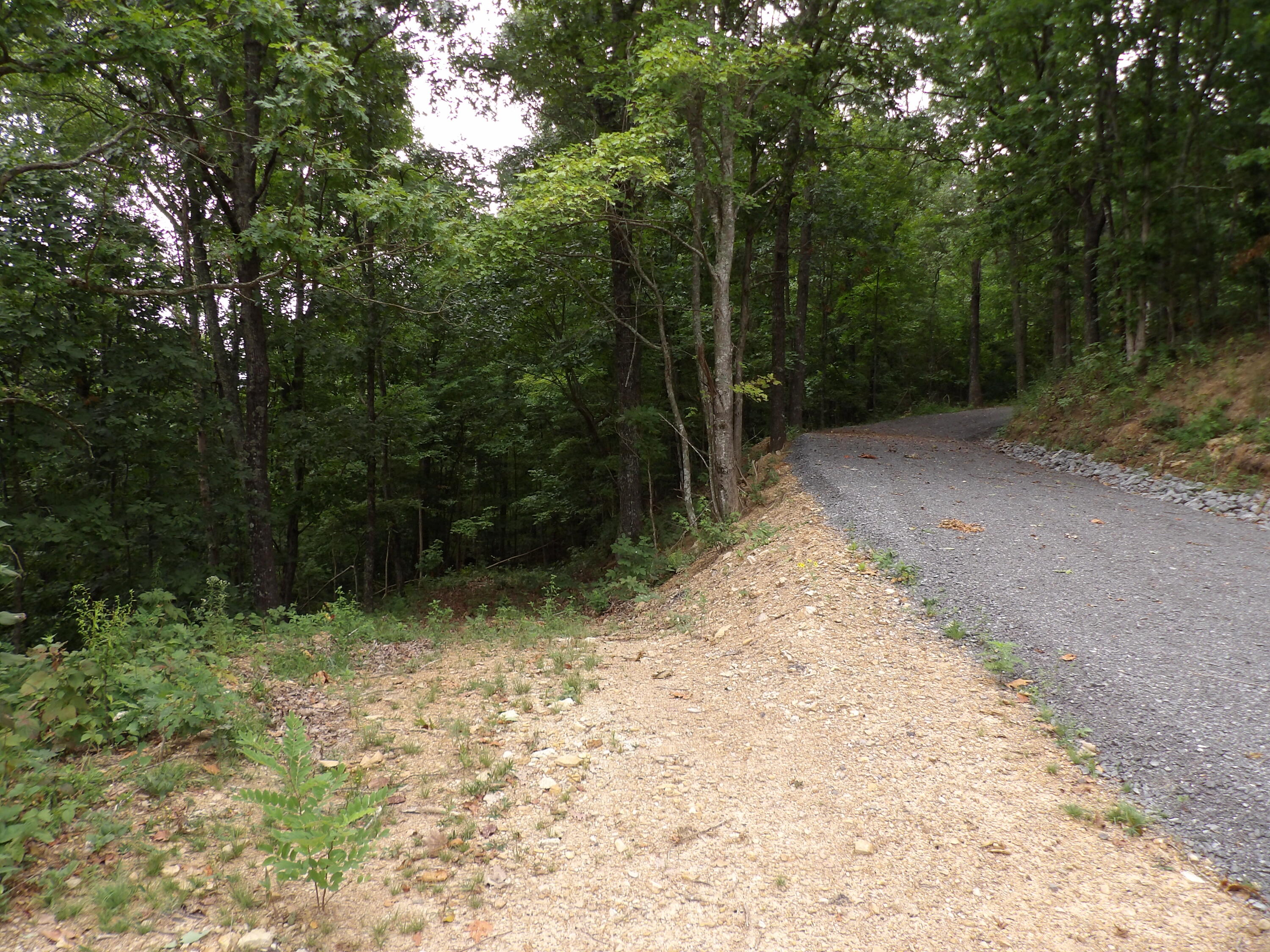 021 Porch Rock Road, Pikeville, Tennessee image 24