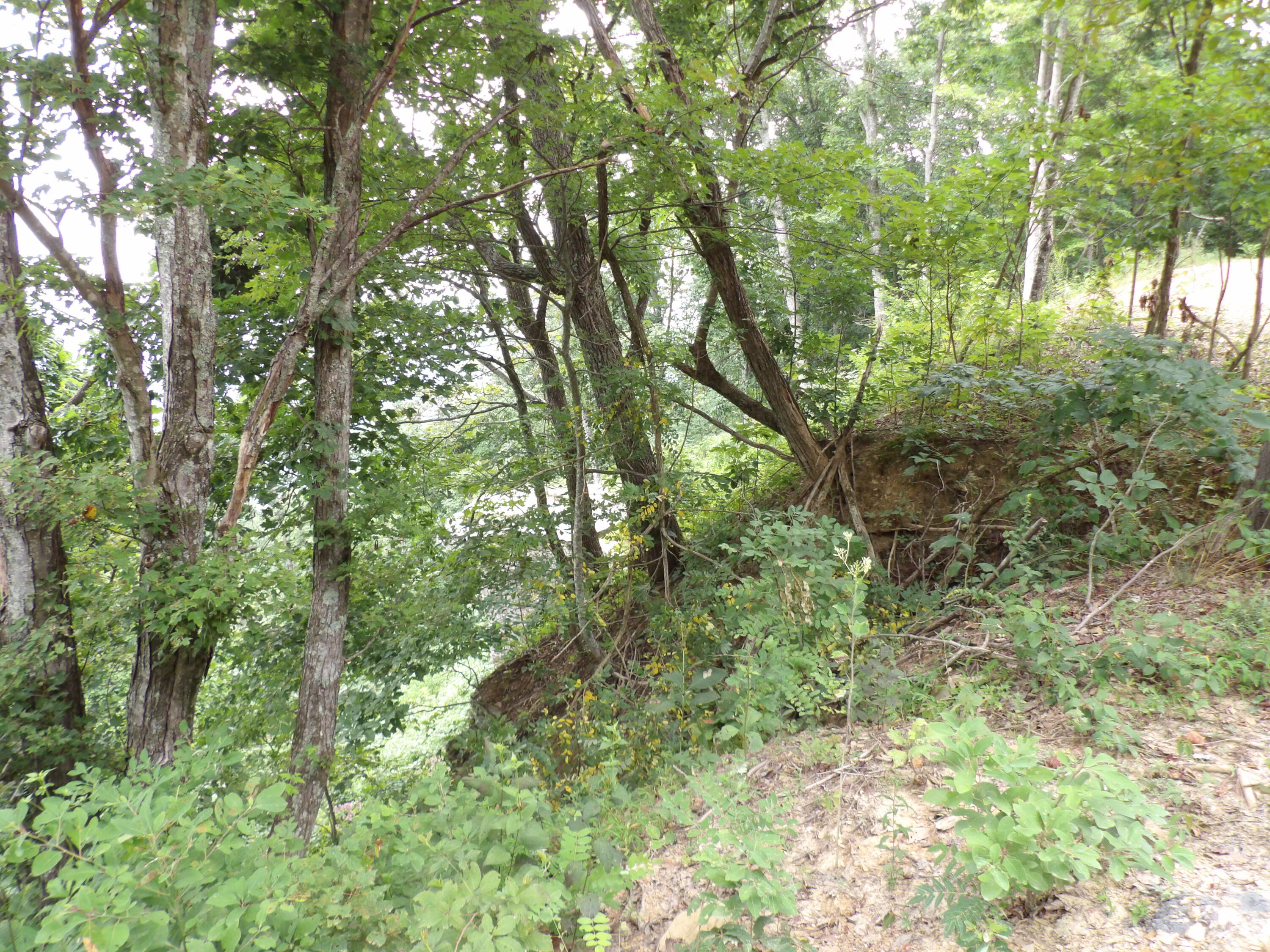 021 Porch Rock Road, Pikeville, Tennessee image 23