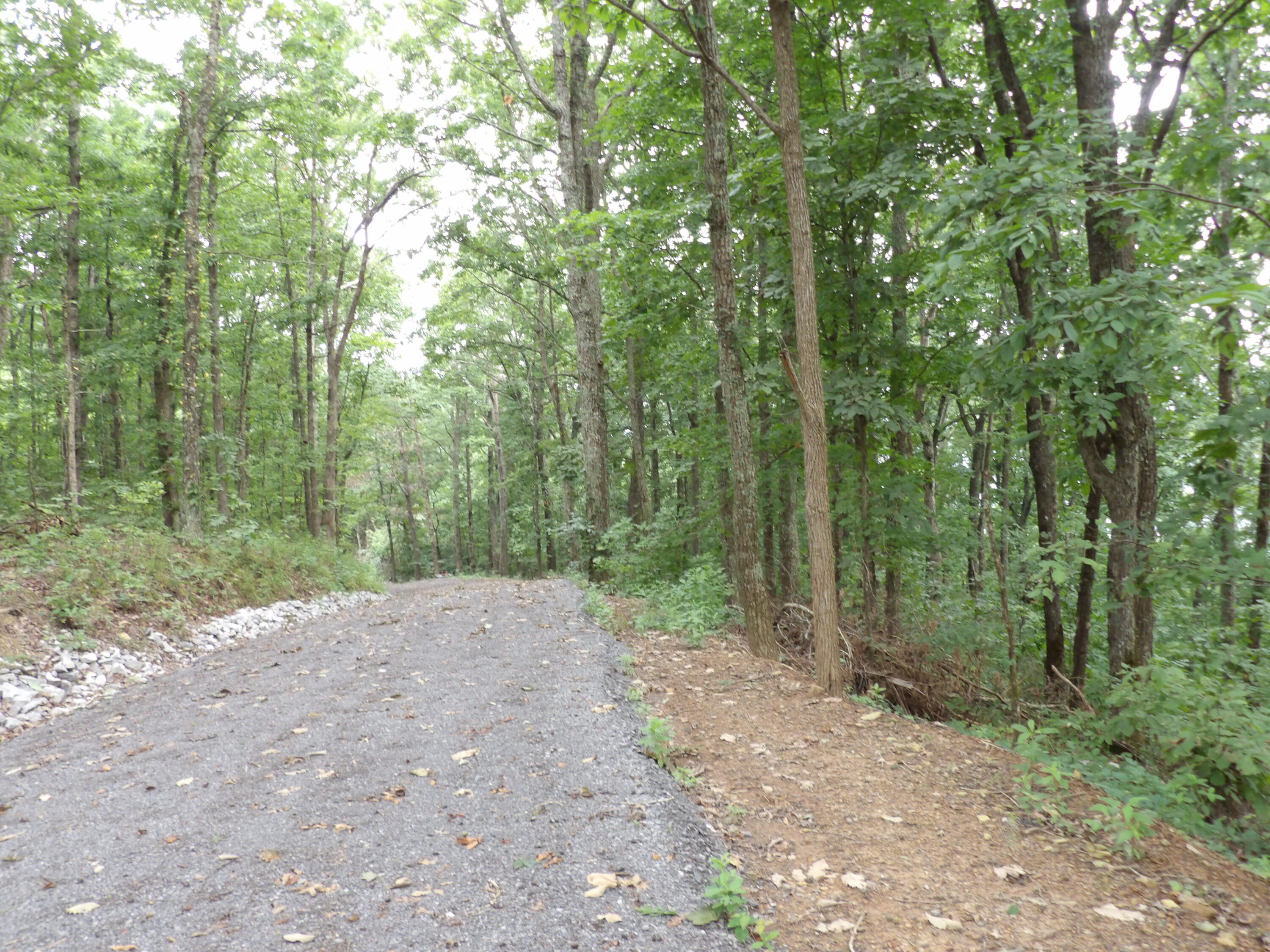 021 Porch Rock Road, Pikeville, Tennessee image 5