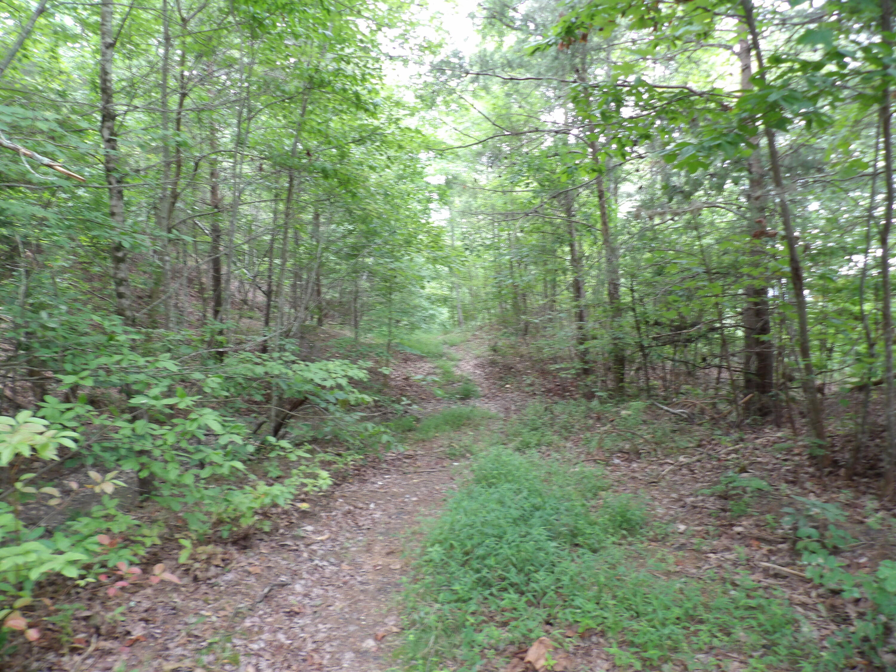 021 Porch Rock Road, Pikeville, Tennessee image 32