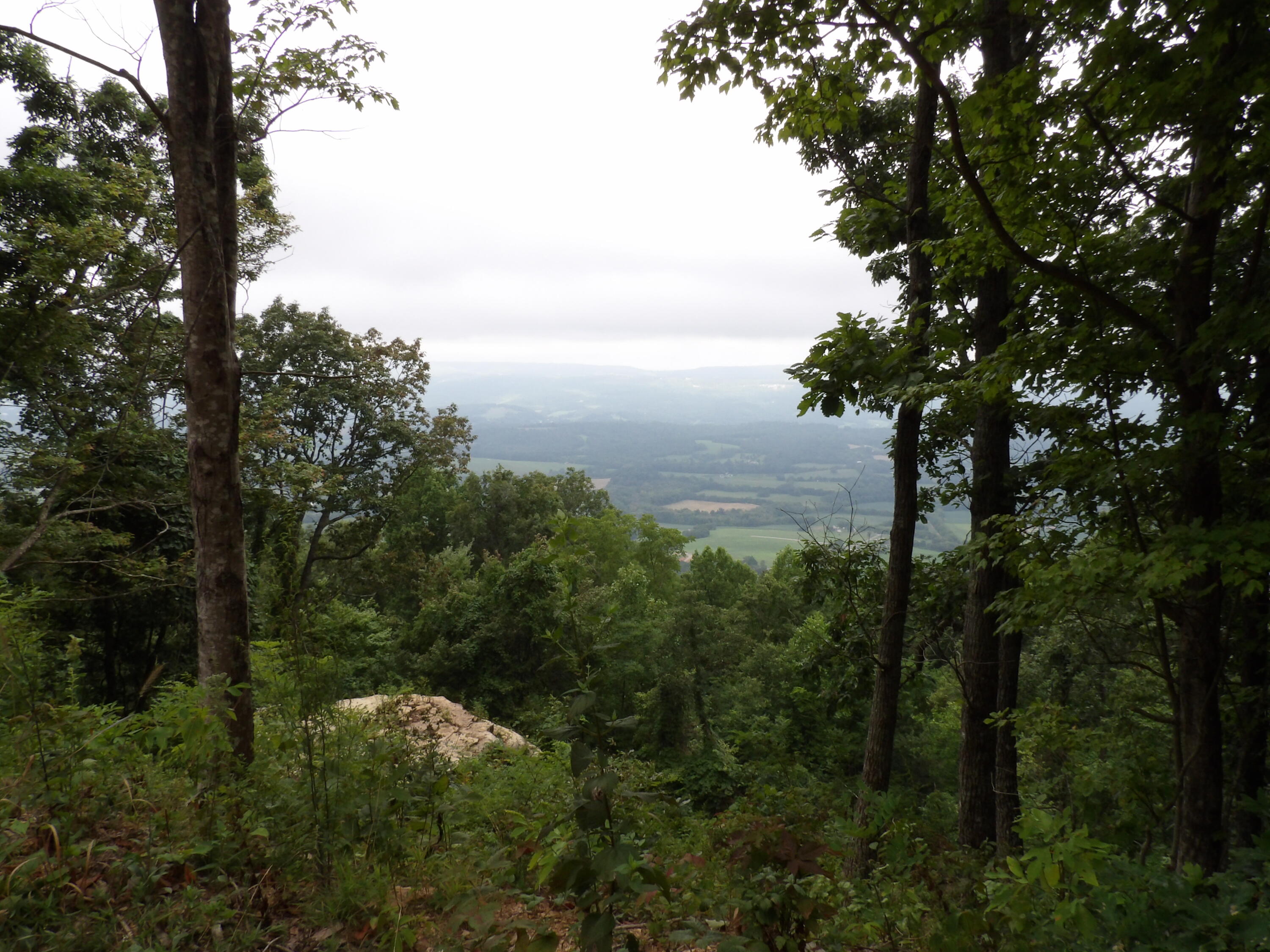 021 Porch Rock Road, Pikeville, Tennessee image 25