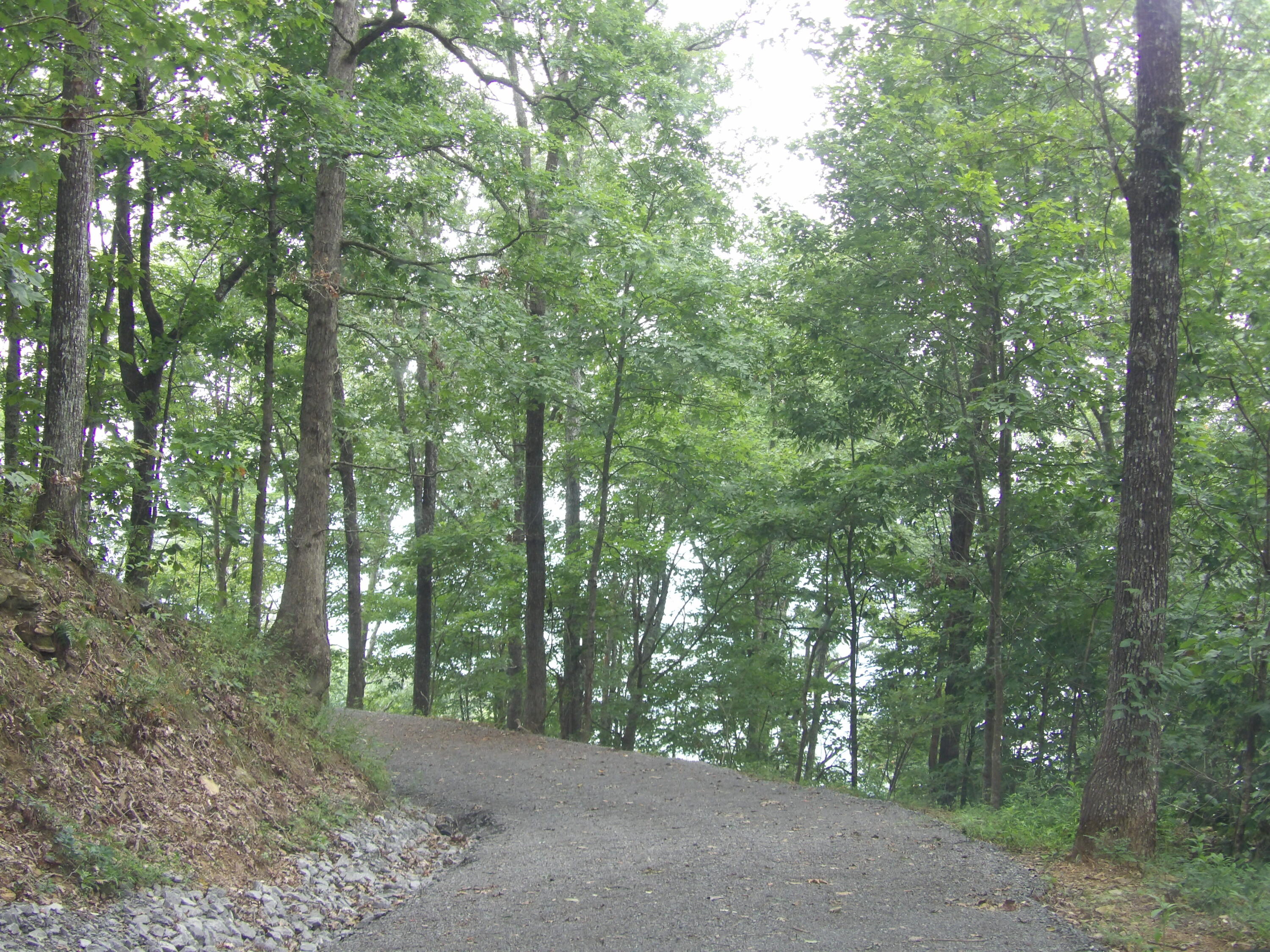 021 Porch Rock Road, Pikeville, Tennessee image 13