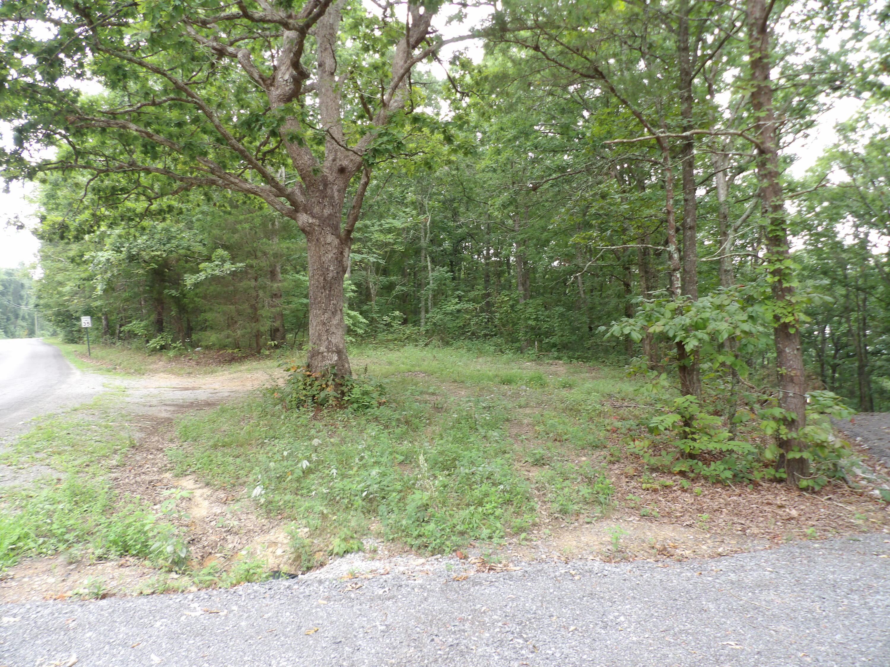 021 Porch Rock Road, Pikeville, Tennessee image 4