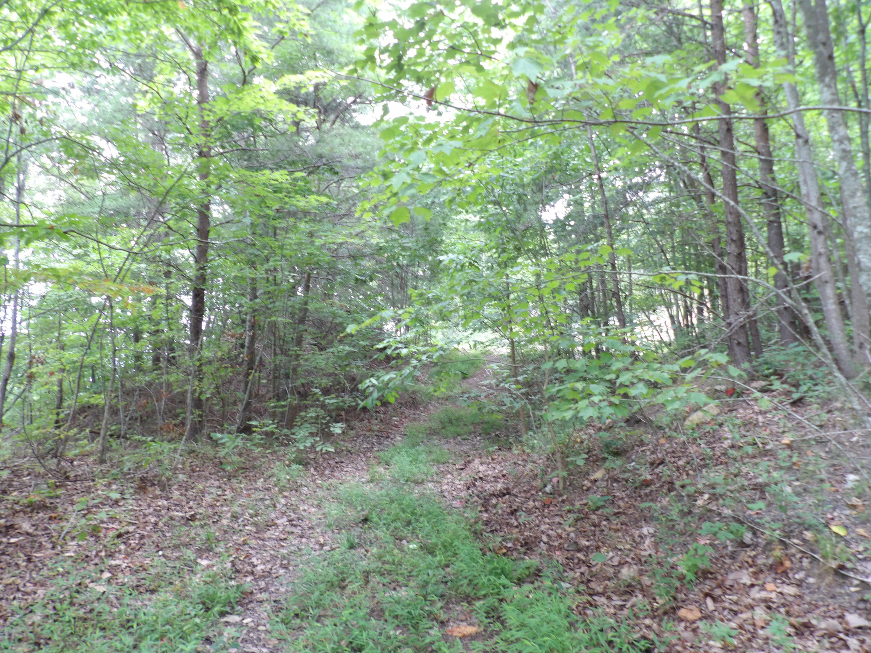 021 Porch Rock Road, Pikeville, Tennessee image 34