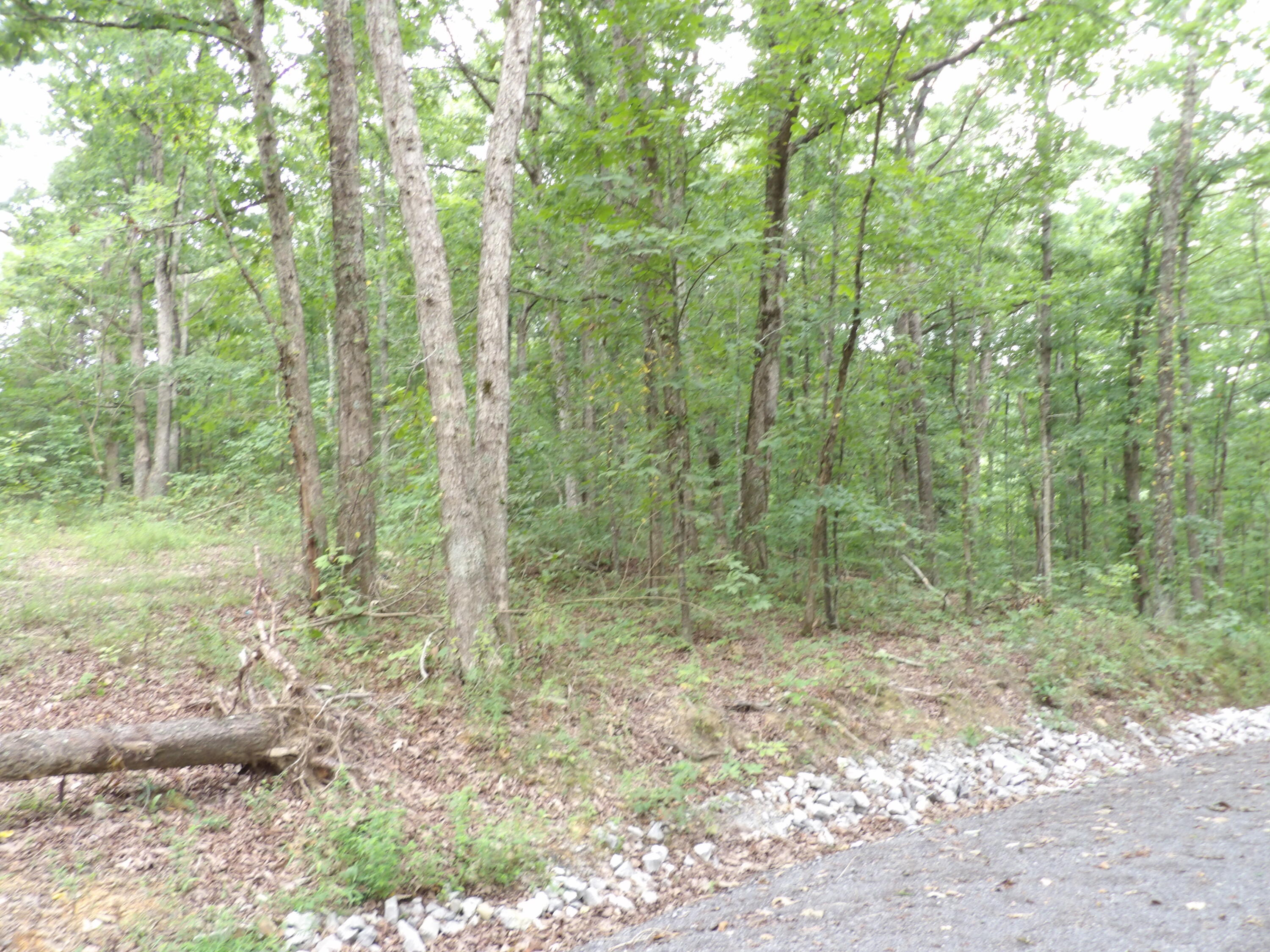 021 Porch Rock Road, Pikeville, Tennessee image 7