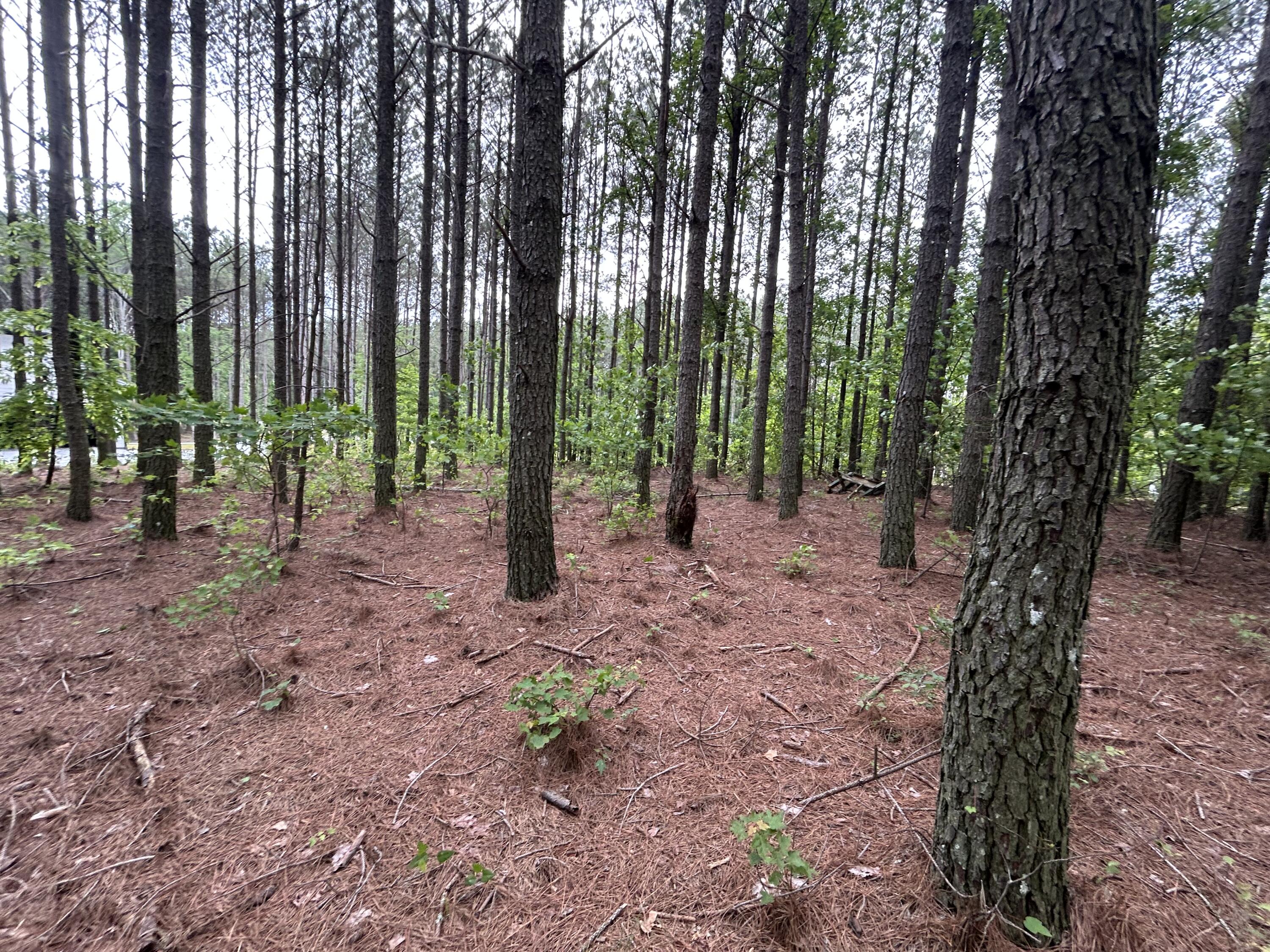 1771 Crockett Point #JF-604, Jasper, Tennessee image 14