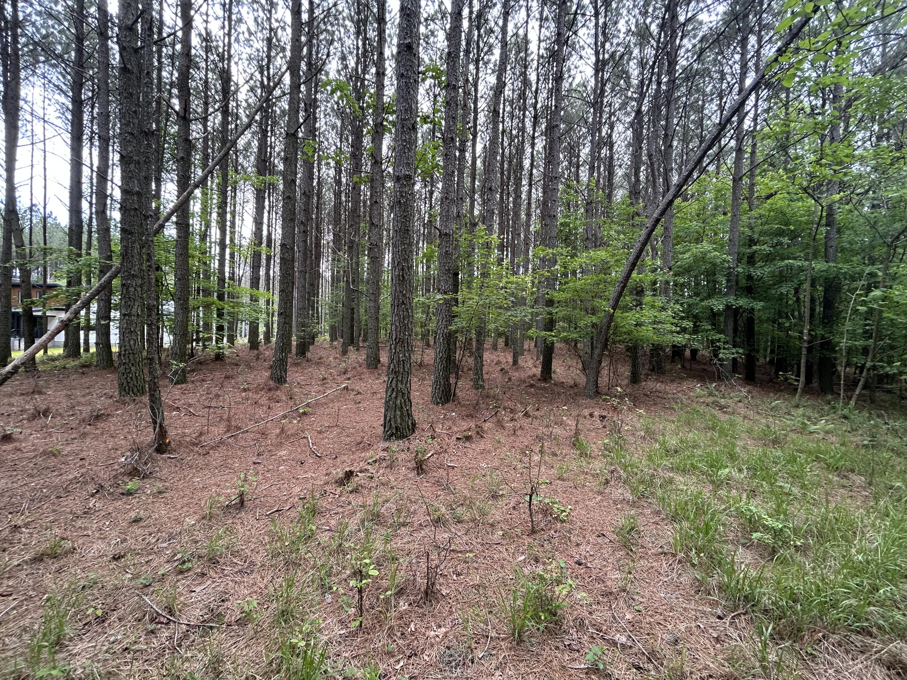1771 Crockett Point #JF-604, Jasper, Tennessee image 16